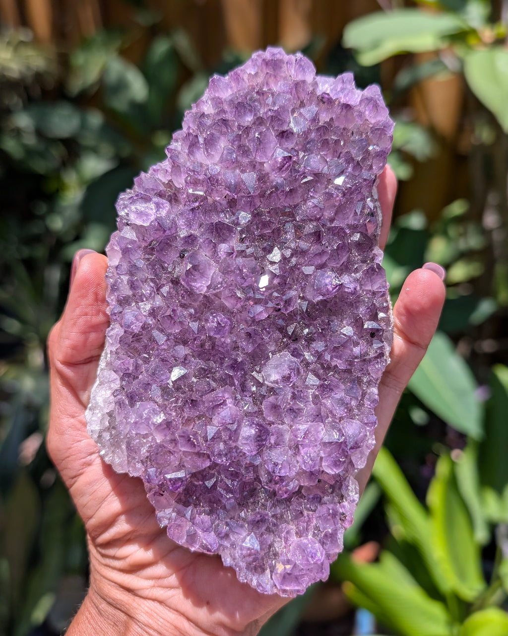 Amethyst Cluster E