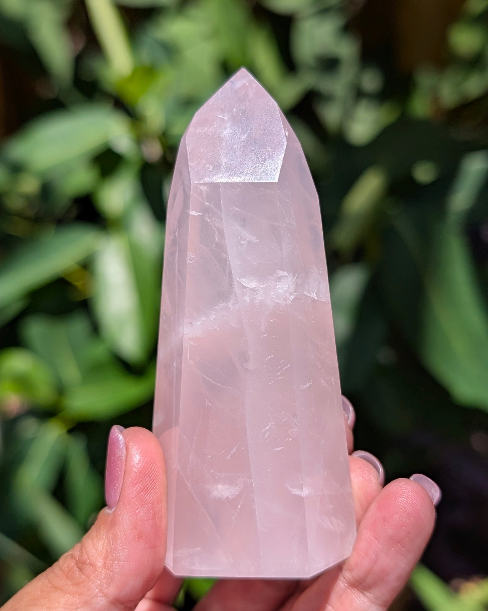 Rose Quartz Generator C
