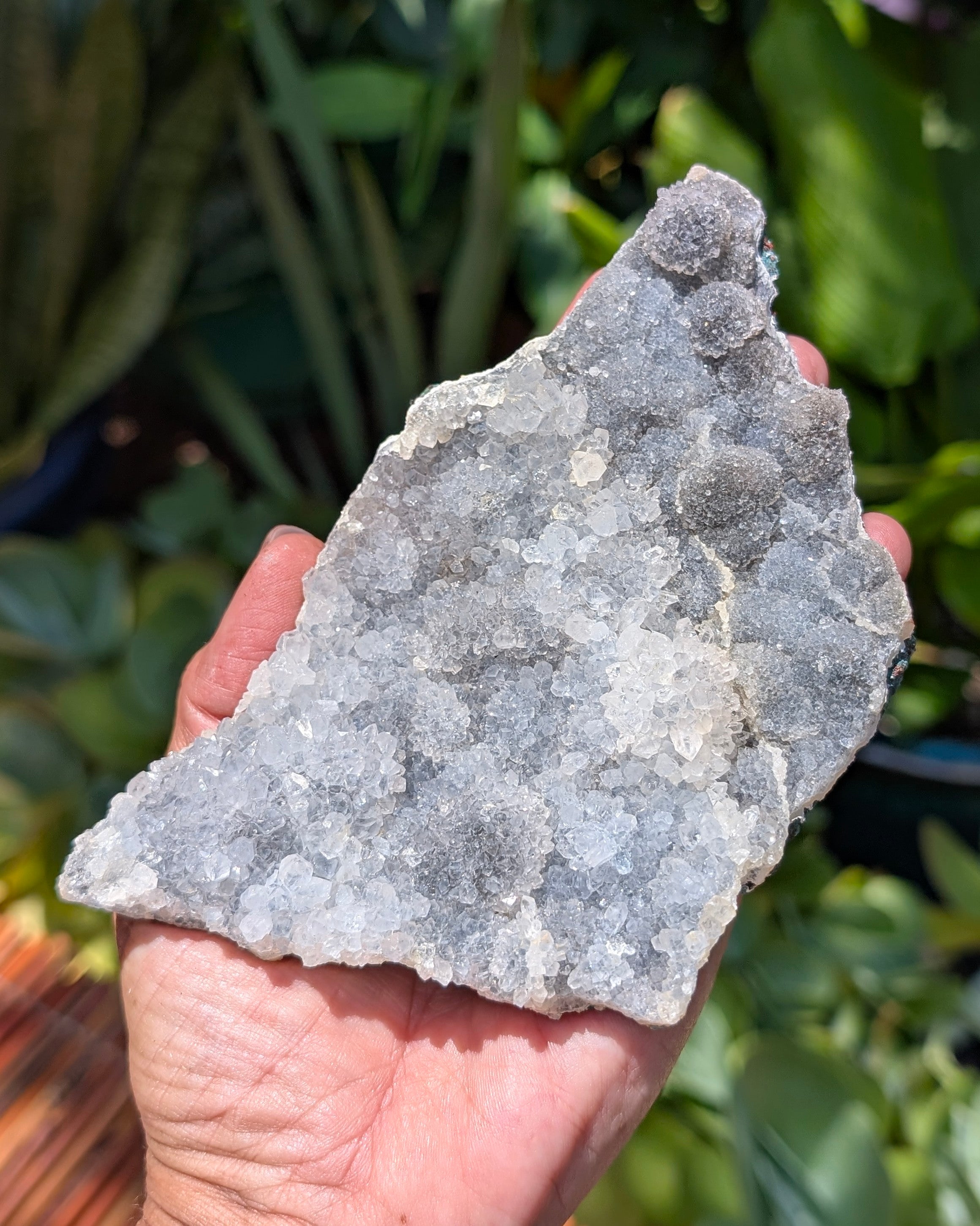 Amethyst Druzy Cluster C