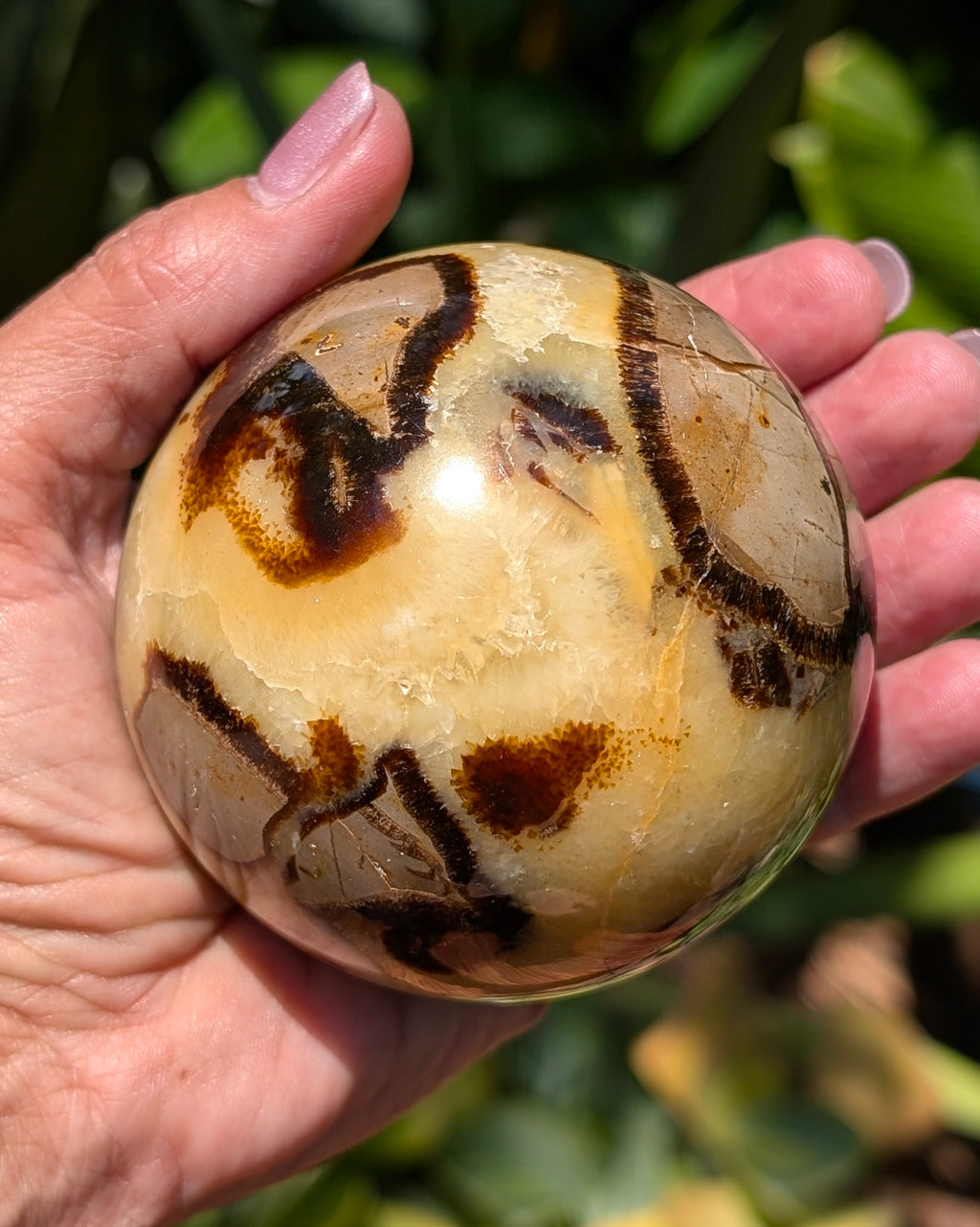 Septarian Dragon Stone Sphere A