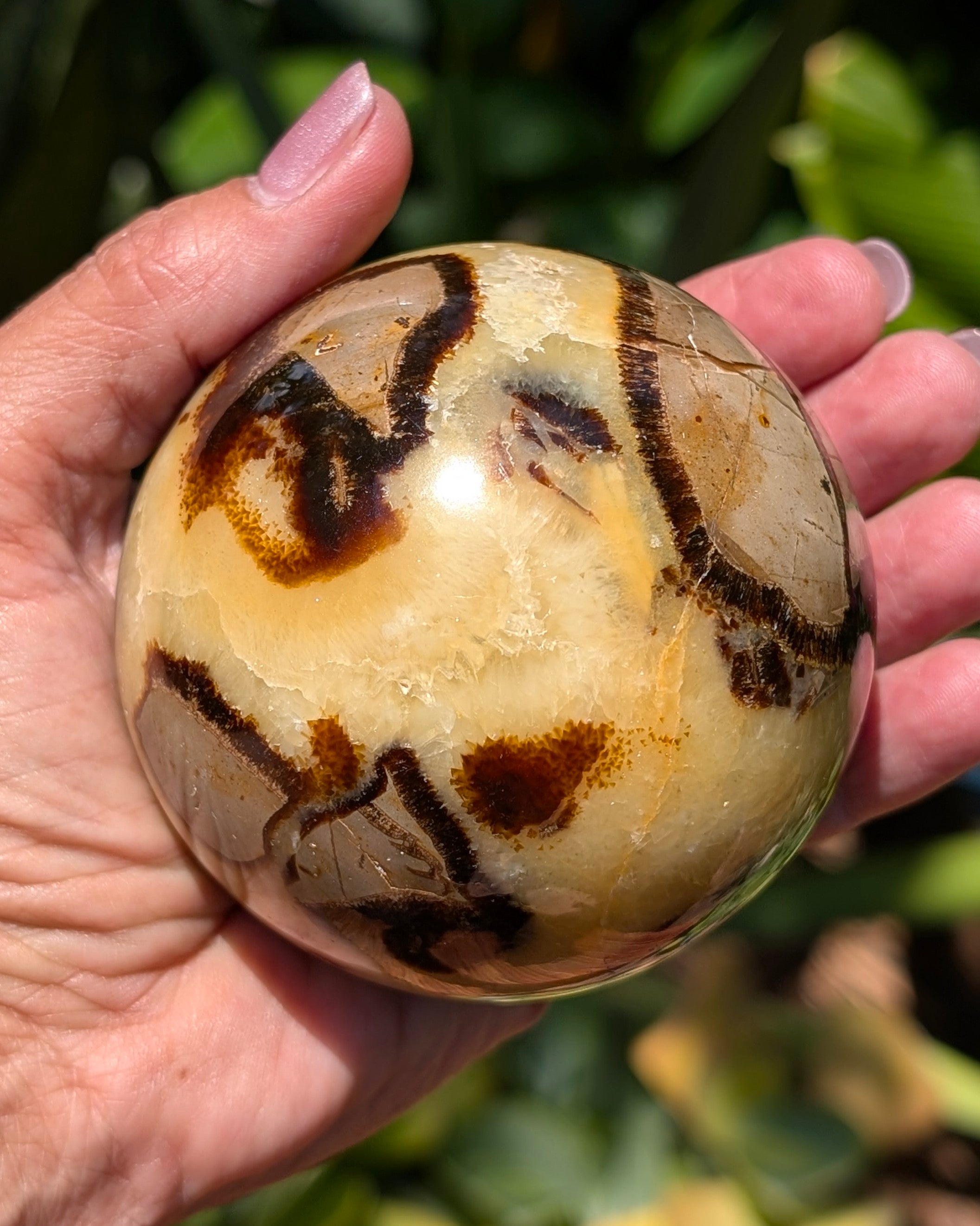 Septarian Dragon Stone Sphere A