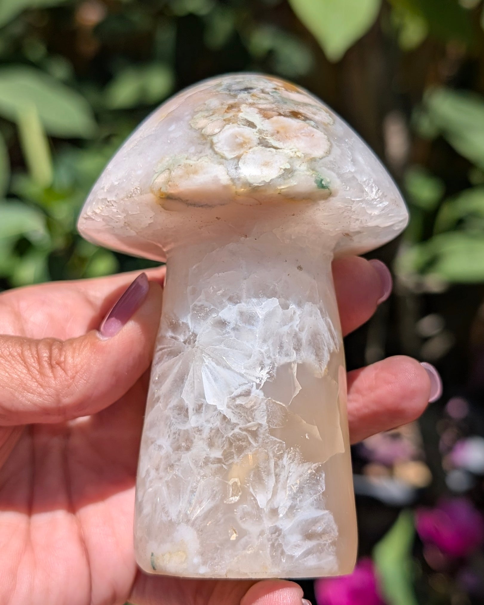 Flower Agate Mushroom E