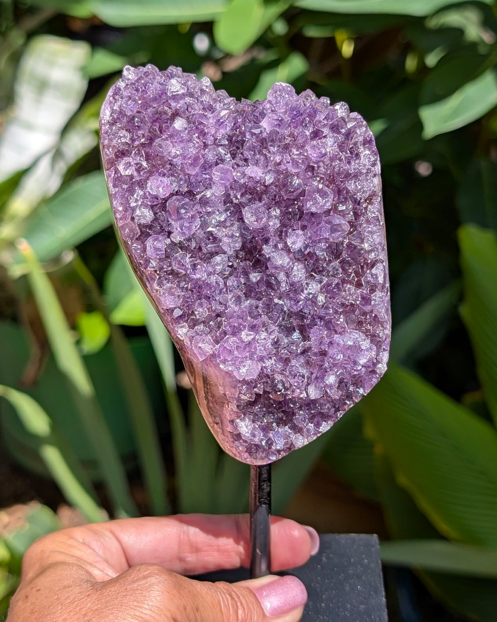 Amethyst Druzy on Stand B