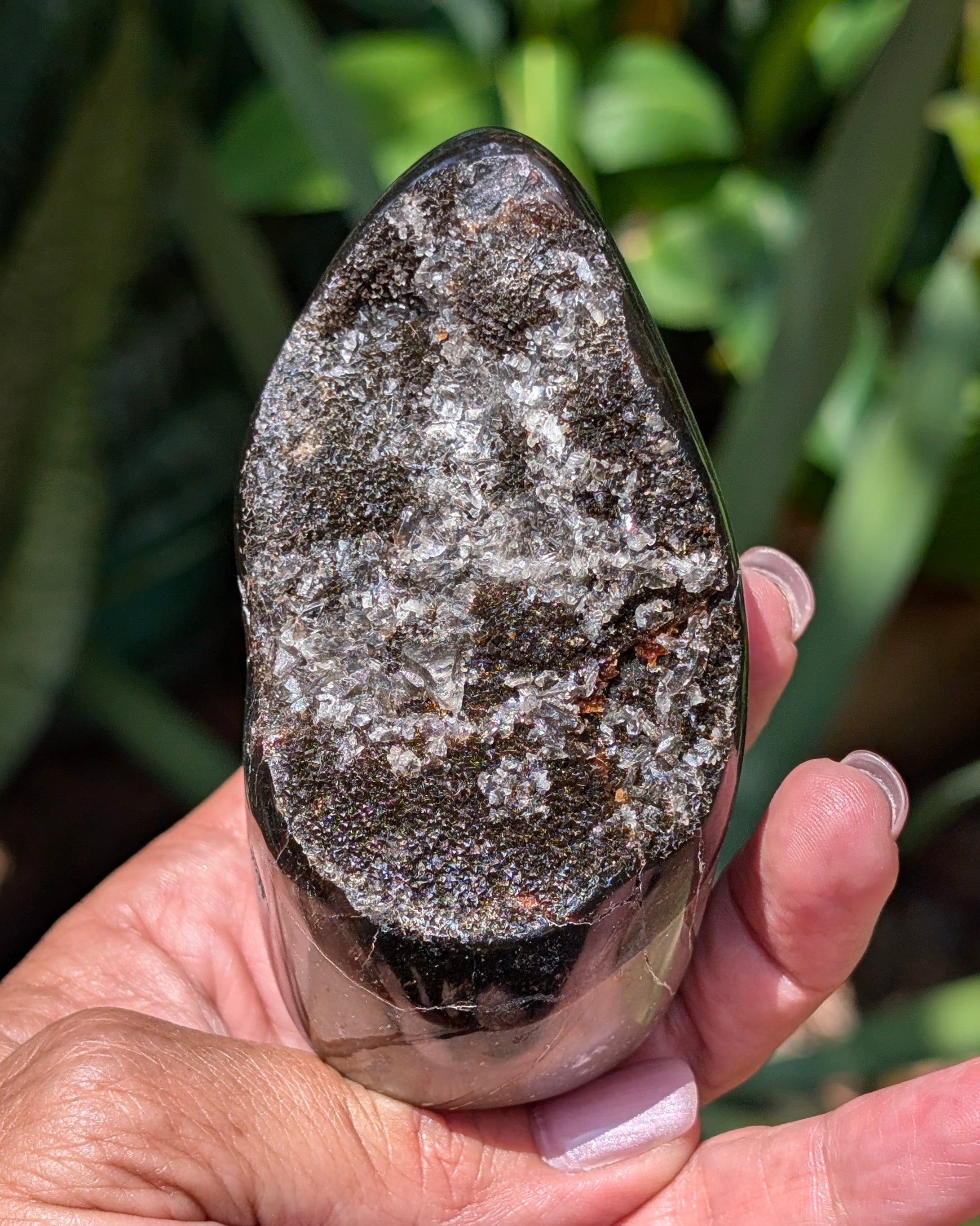 Septarian Dragon Egg E