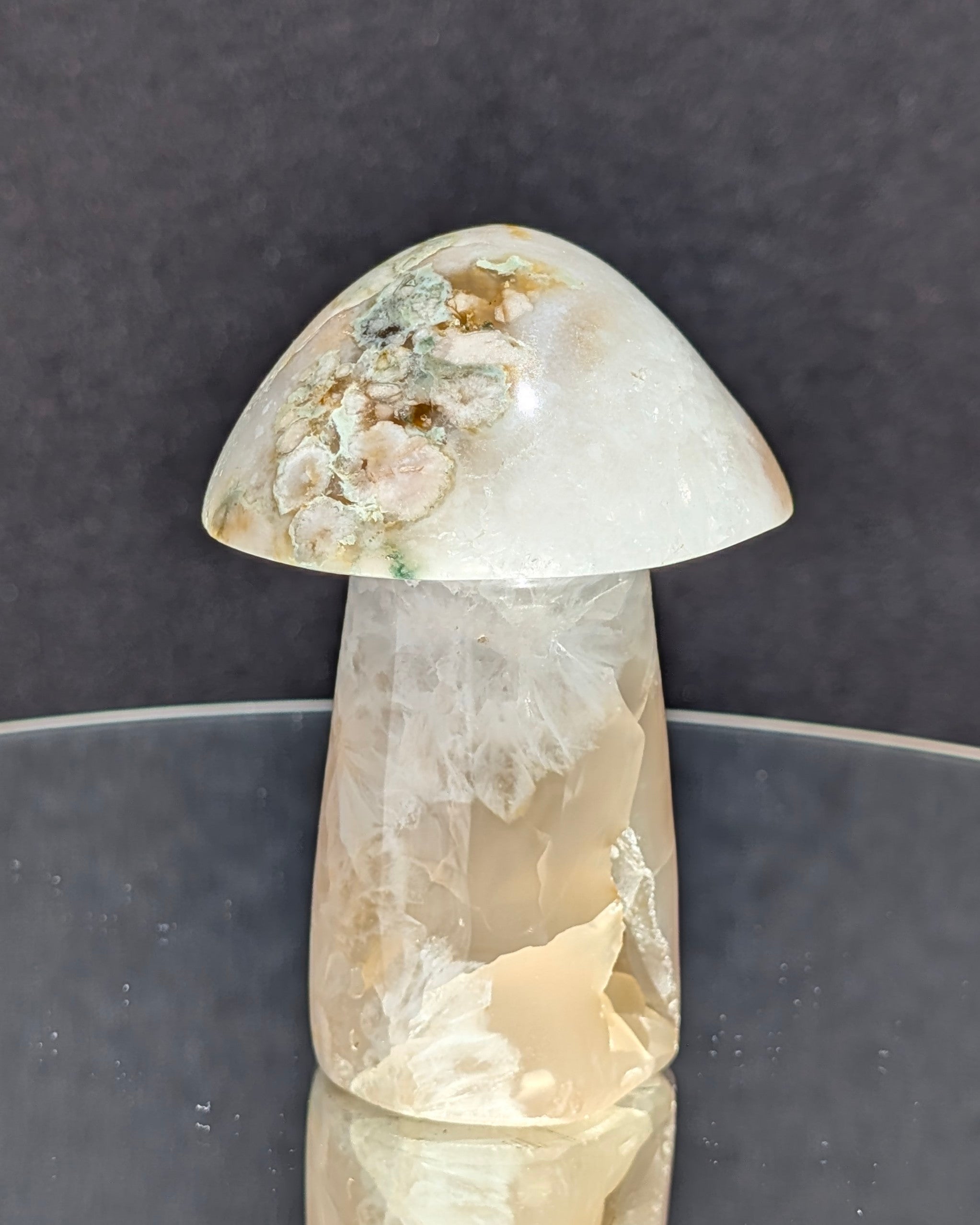 Flower Agate Mushroom E
