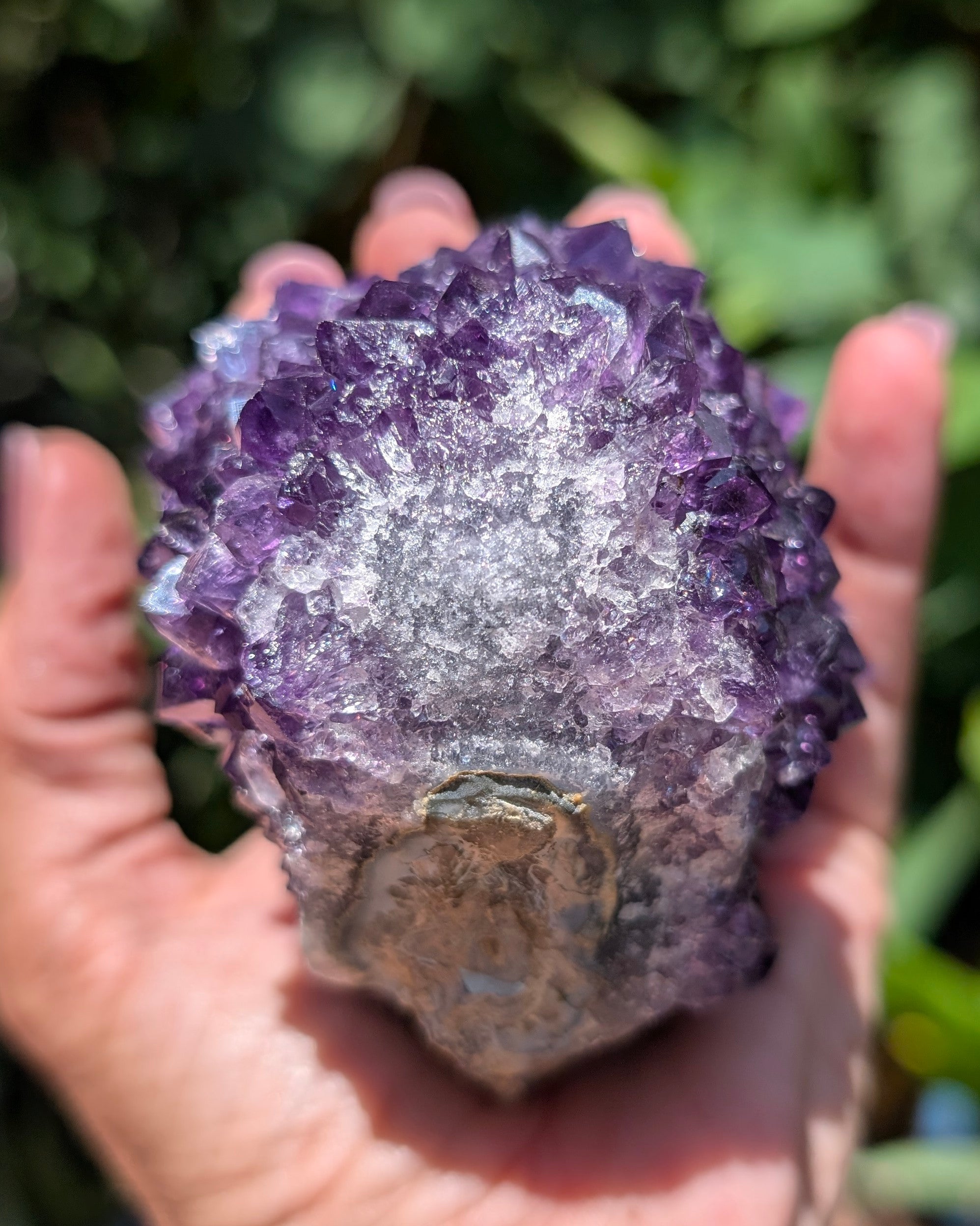 Amethyst Druzy Cluster F