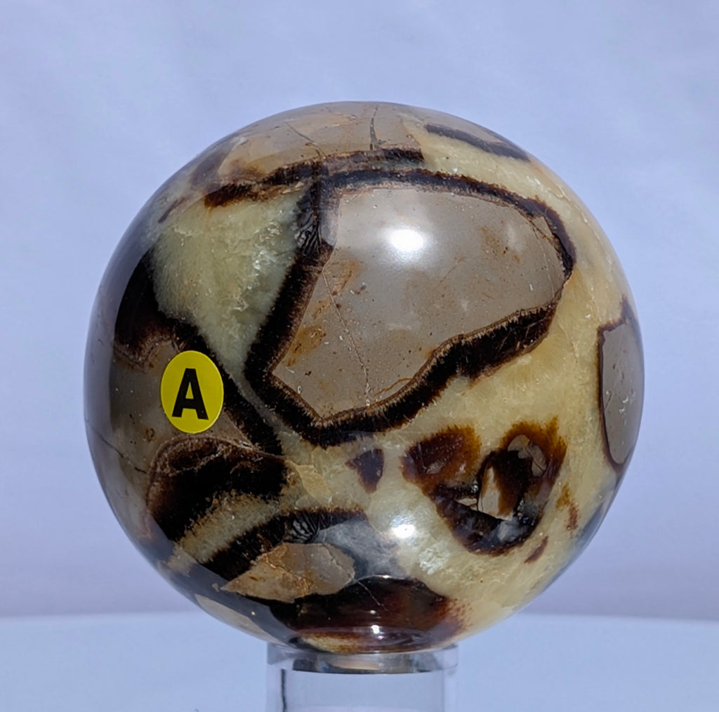 Septarian Dragon Stone Sphere A