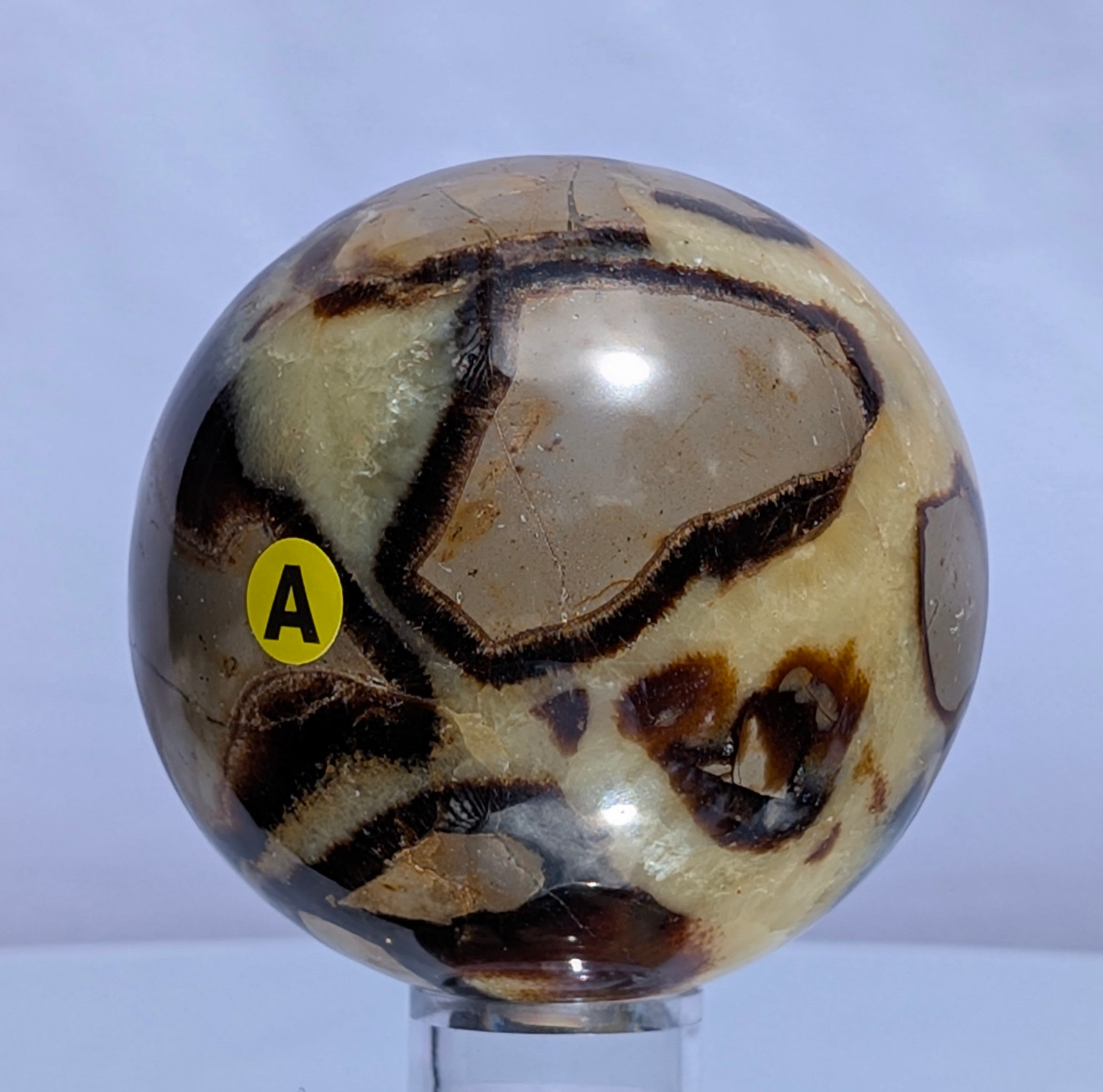 Septarian Dragon Stone Sphere A