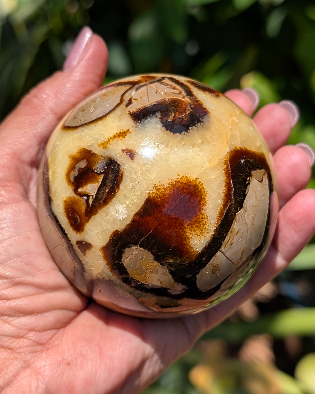 Septarian Dragon Stone Sphere A
