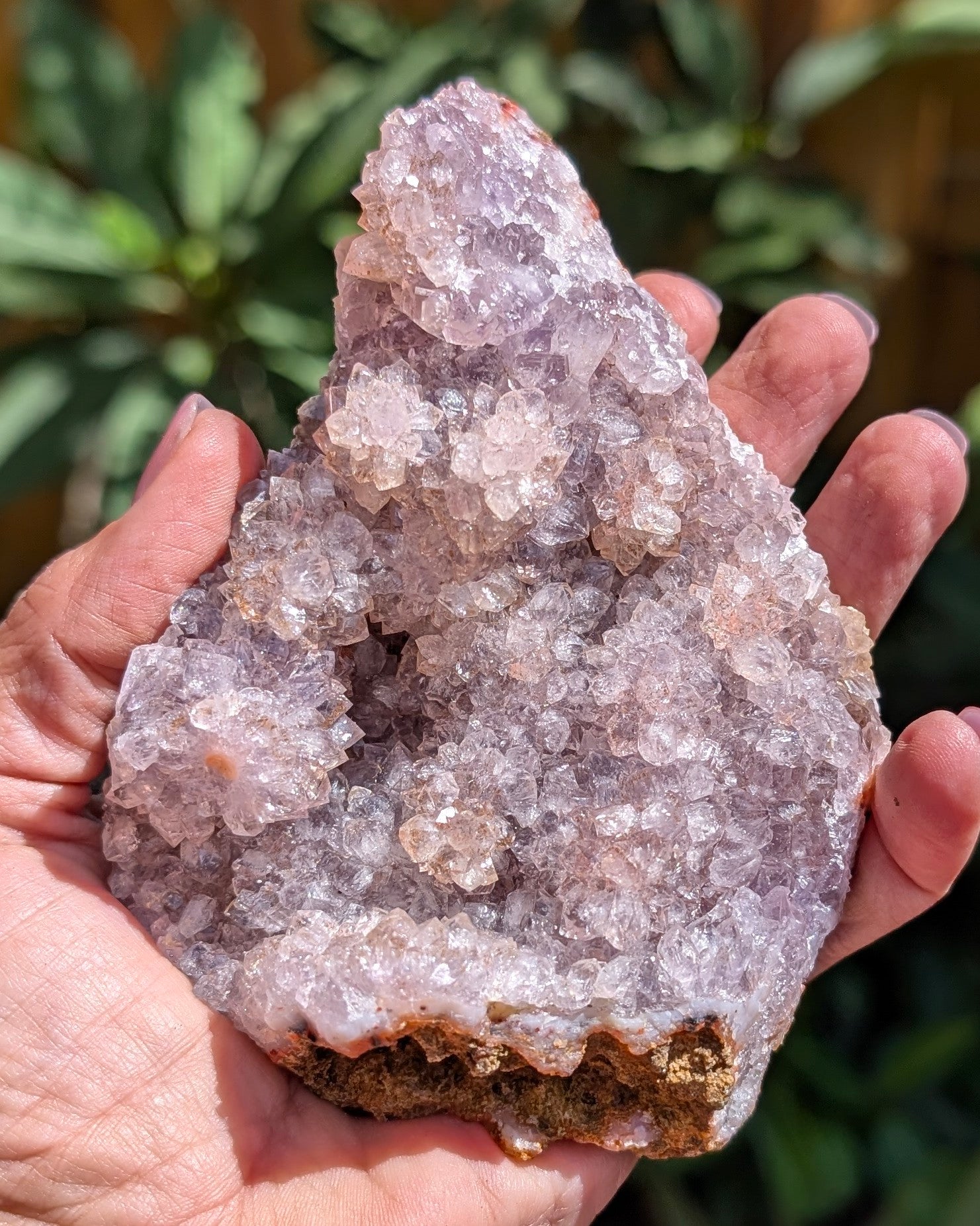 Amethyst Tarazout Cluster D