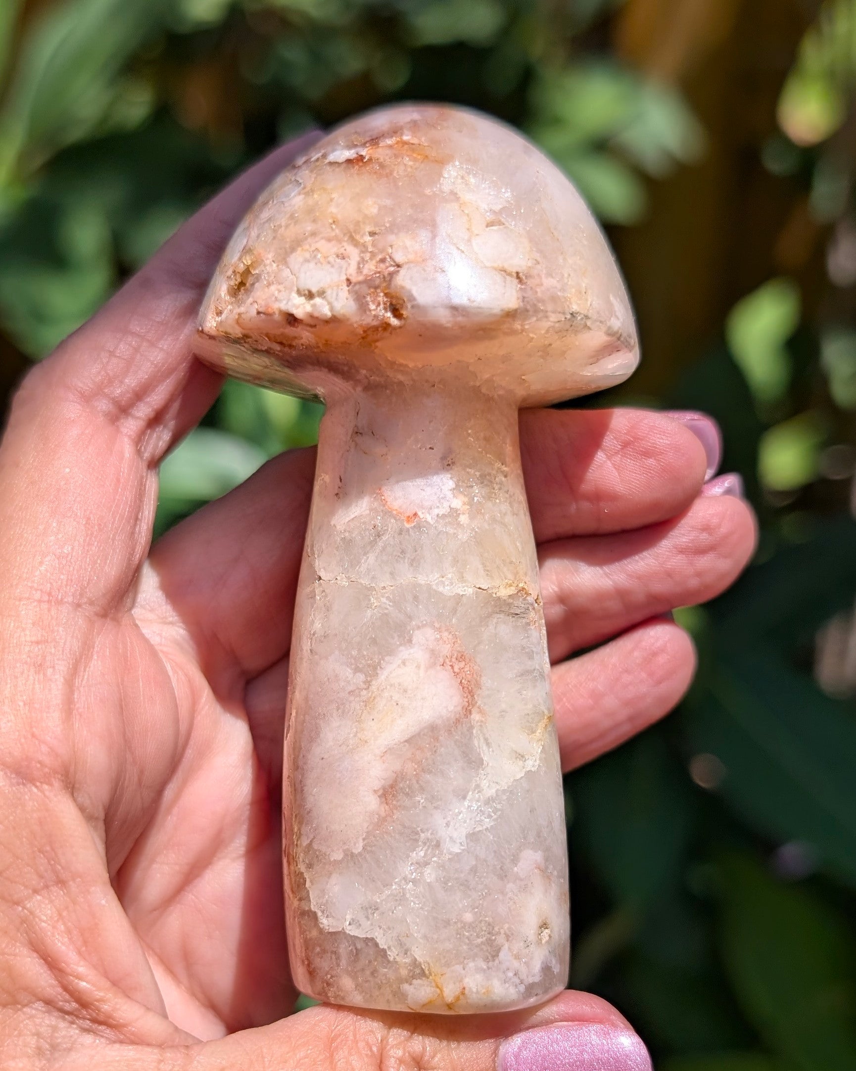 Flower Agate Mushroom G