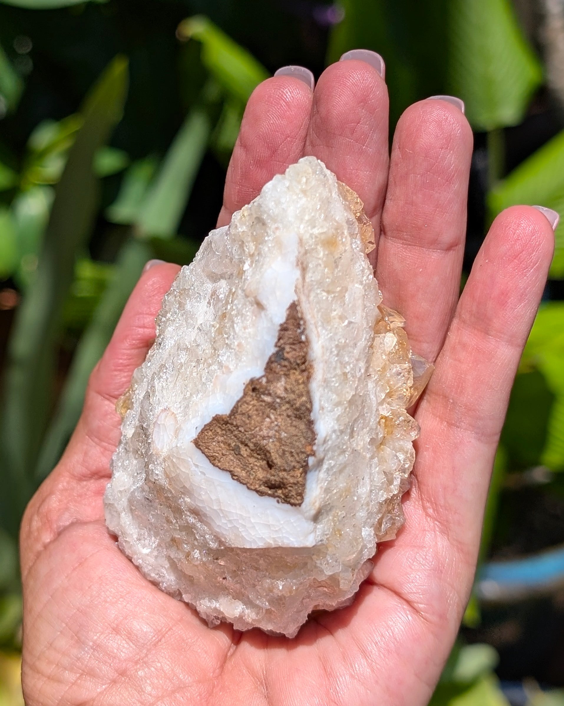 Citrine Cluster C