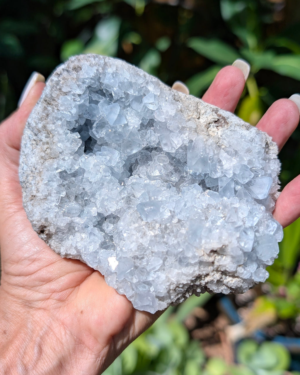 Celestine Cluster - Opt G