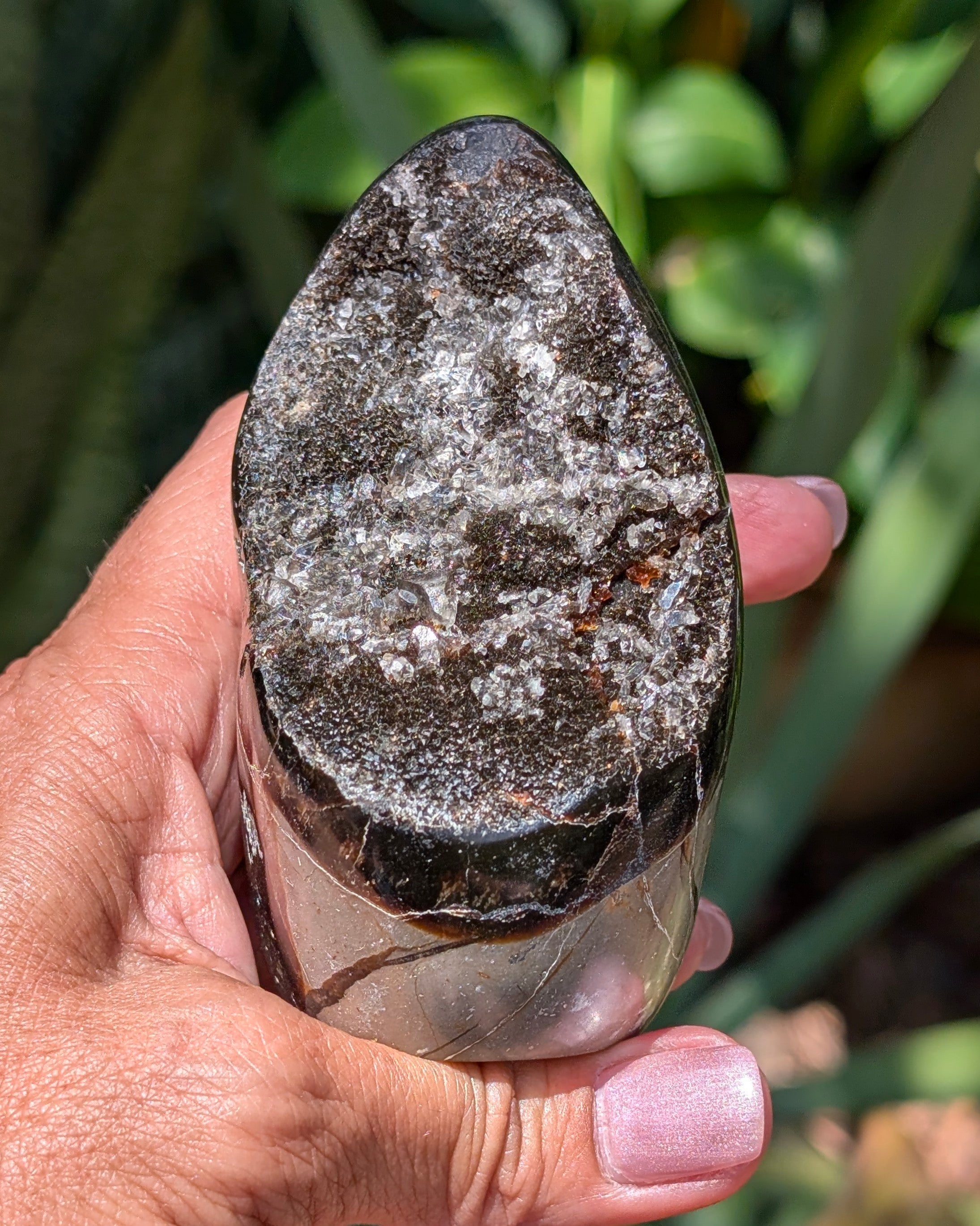 Septarian Dragon Egg E