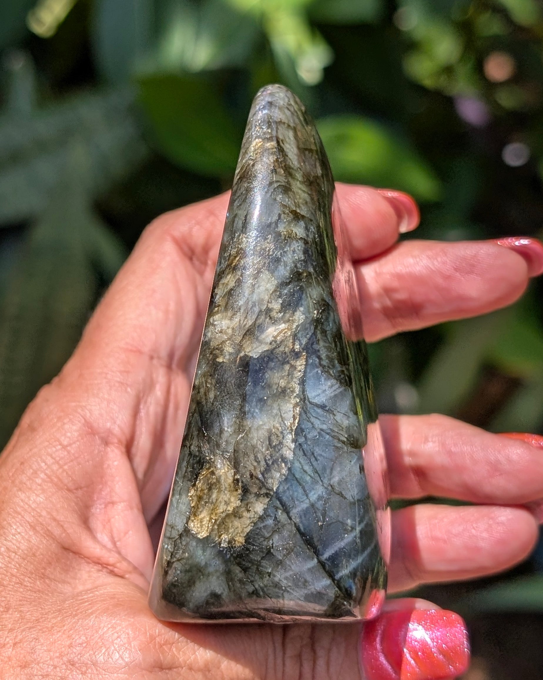 Spectrolite Labradorite Freeform - Opt. G
