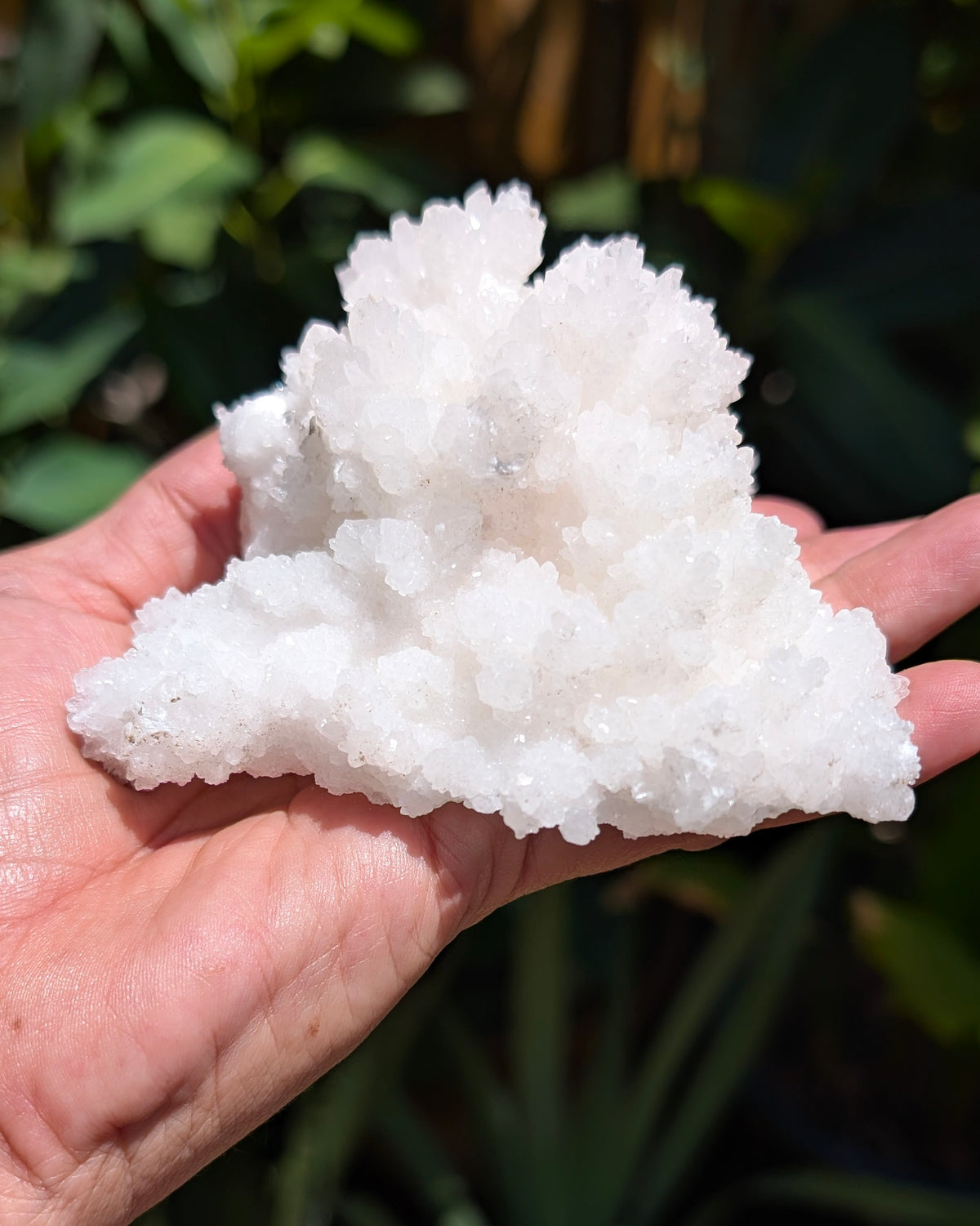 Fluorescent Aragonite Cluster - Opt. N