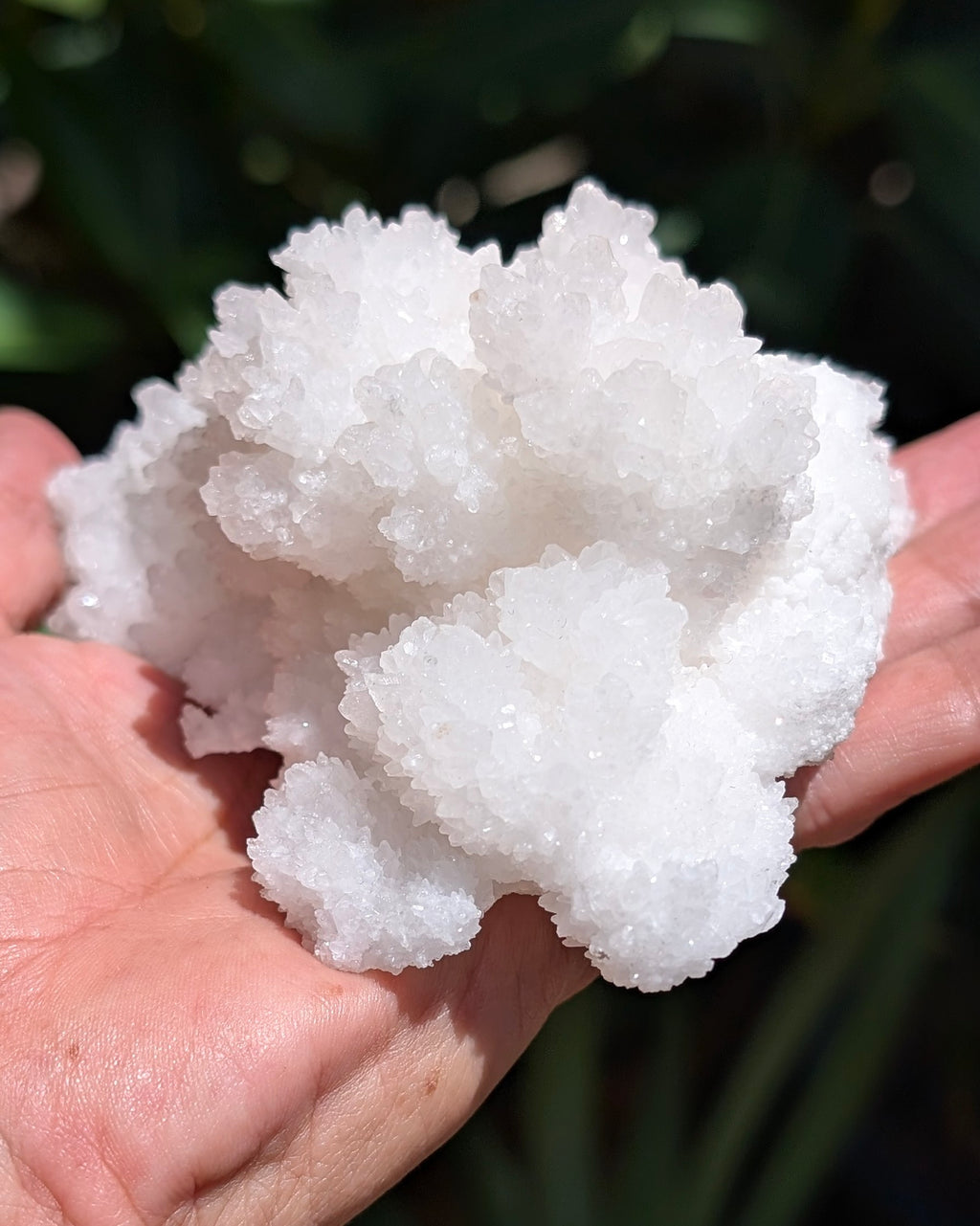 Fluorescent Aragonite Cluster - Opt. N