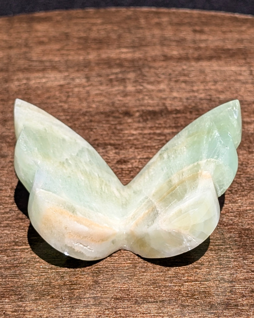 Caribbean Calcite Butterfly V