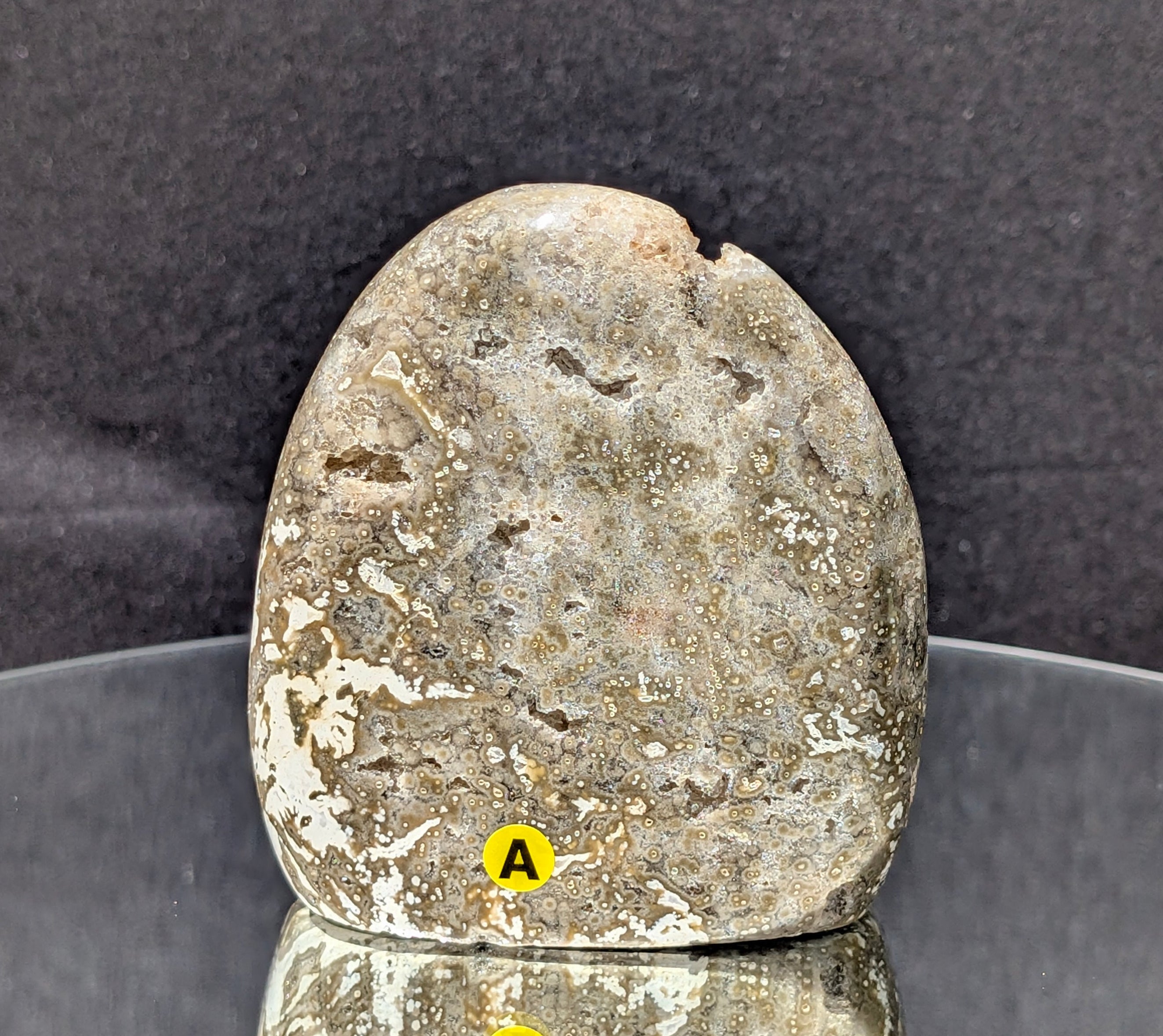 Ocean Jasper A