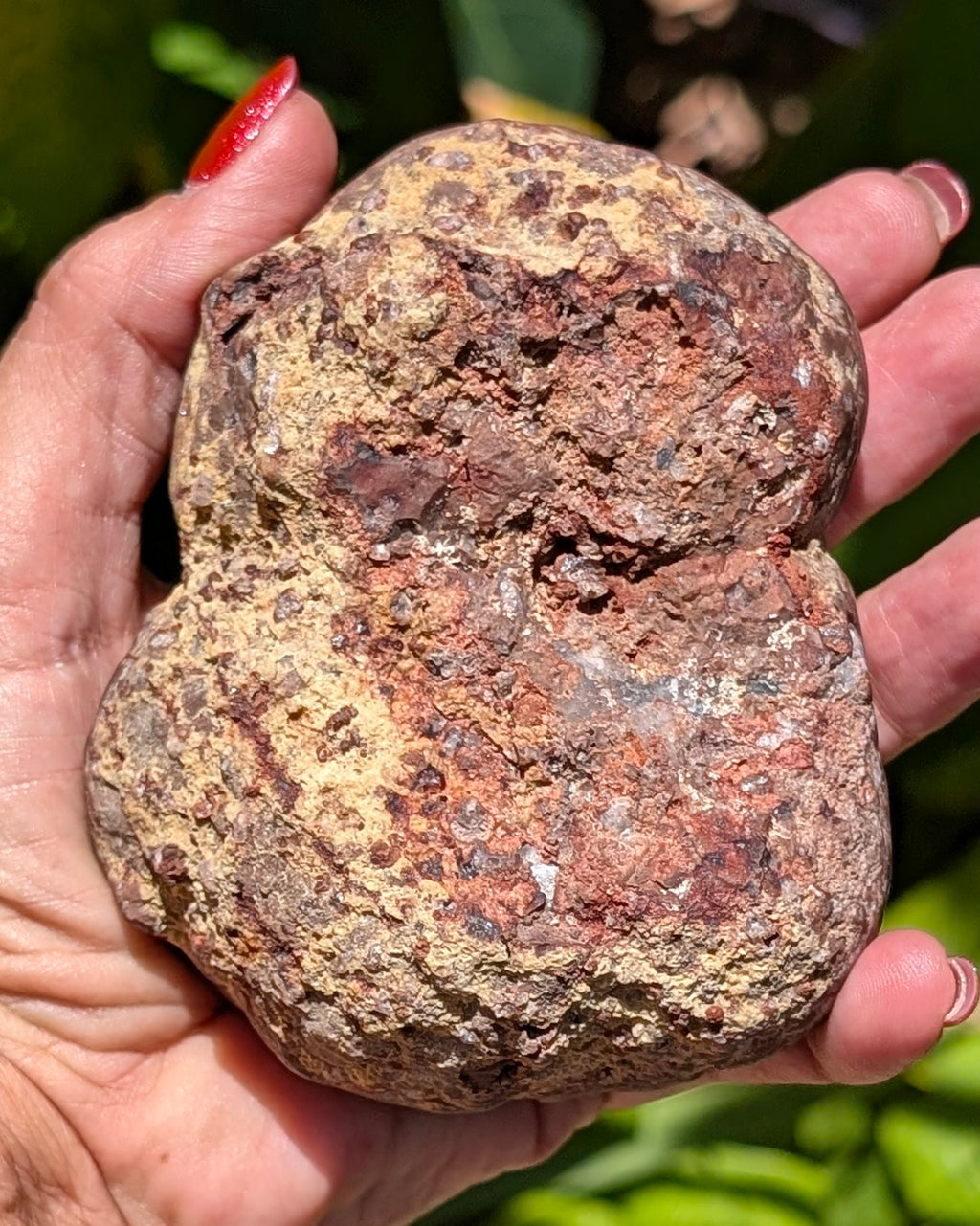Fluorescent Thunderegg Geode Opt. A