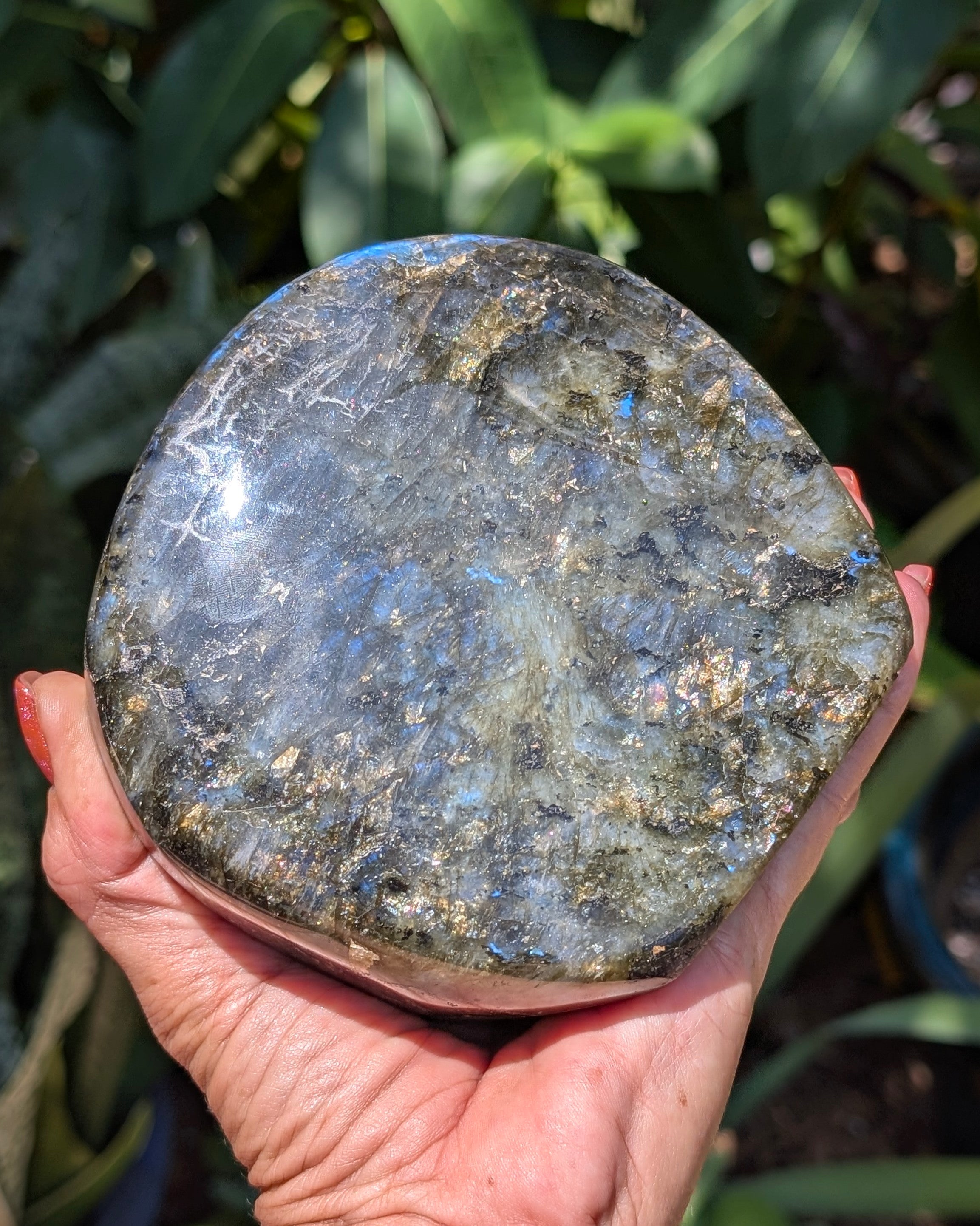 Flashy Blue Labradorite Freeform - Opt. D