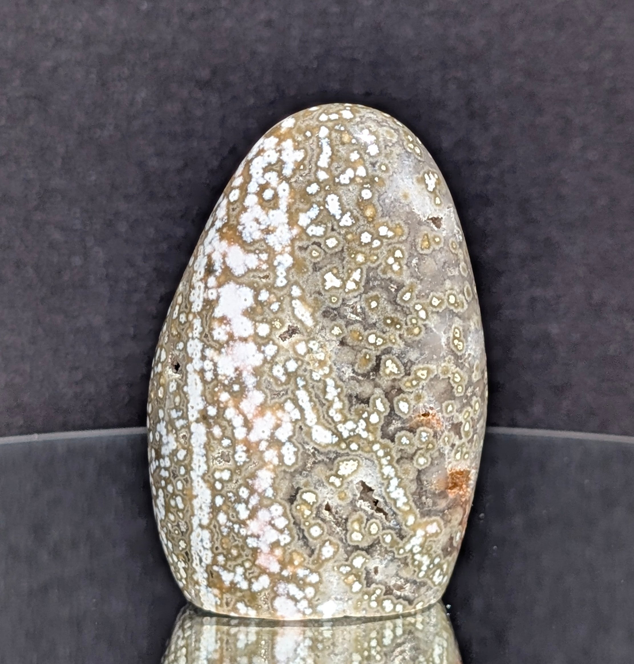 Ocean Jasper B