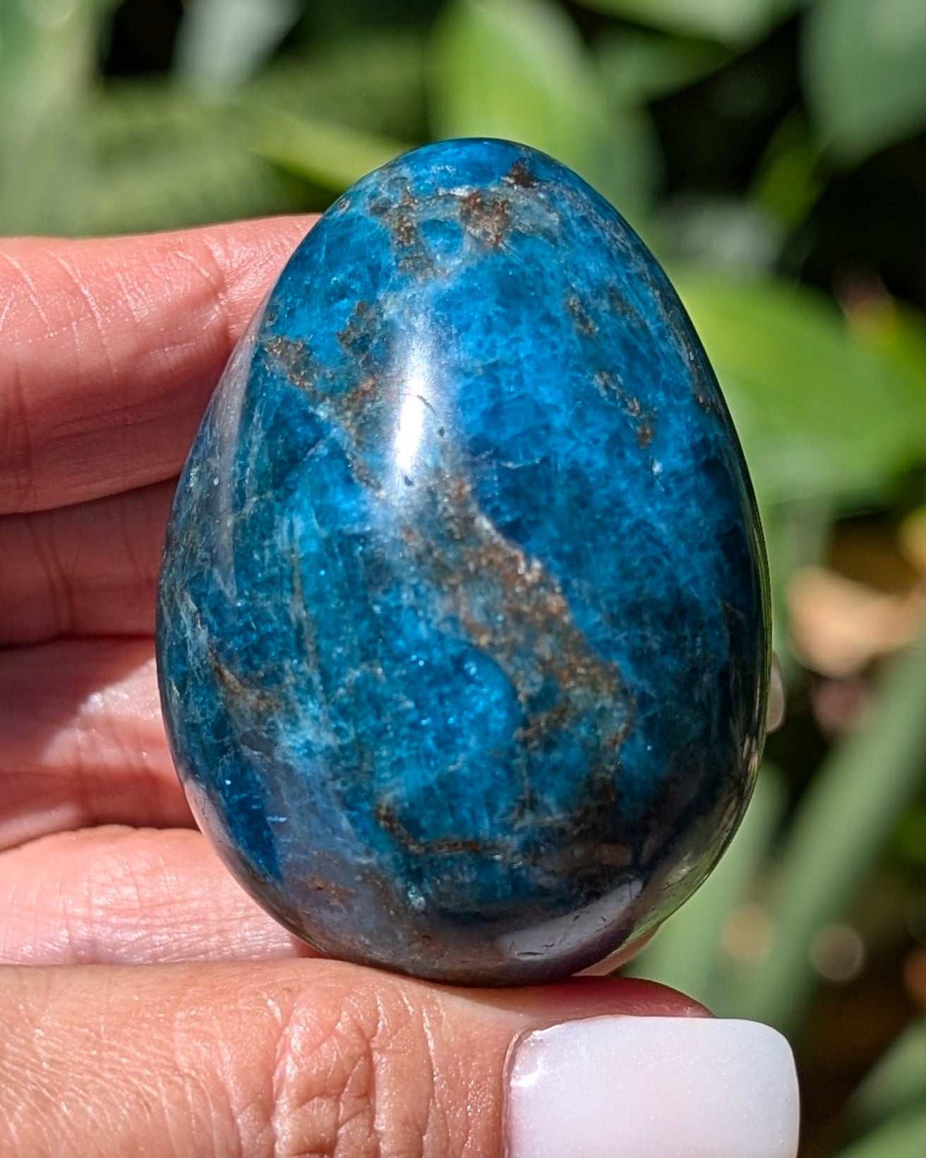 Apatite Egg - Opt. H