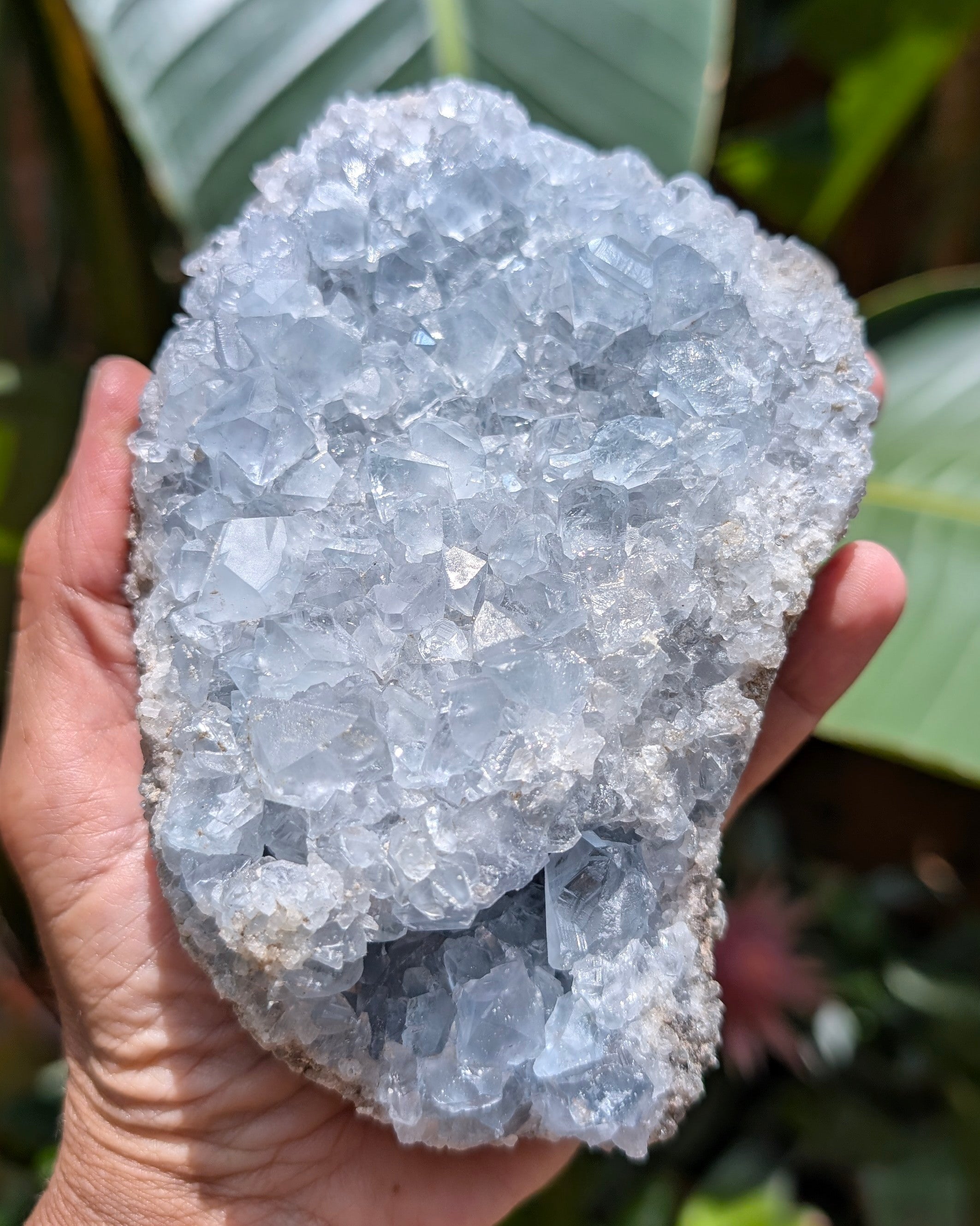 Celestite Cluster H