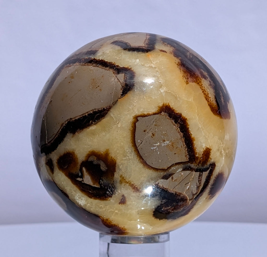 Septarian Dragon Stone Sphere A
