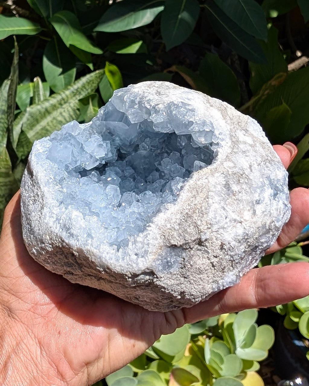 Heavenly Blue Celestite Geode - Opt. I