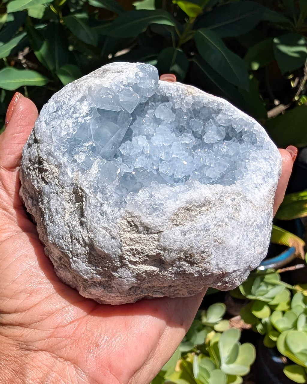 Heavenly Blue Celestite Geode - Opt. I