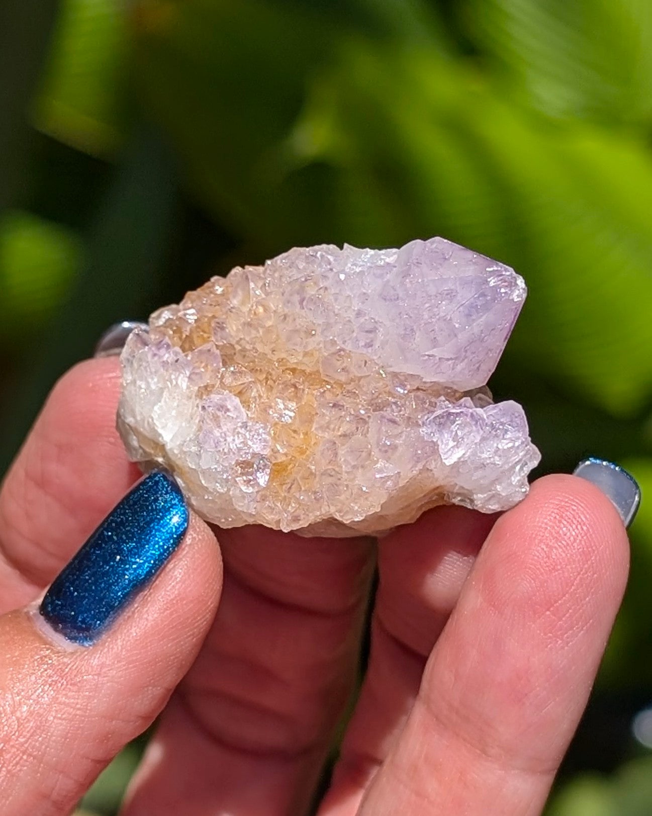 Petite Spirit Quartz - Opt. C