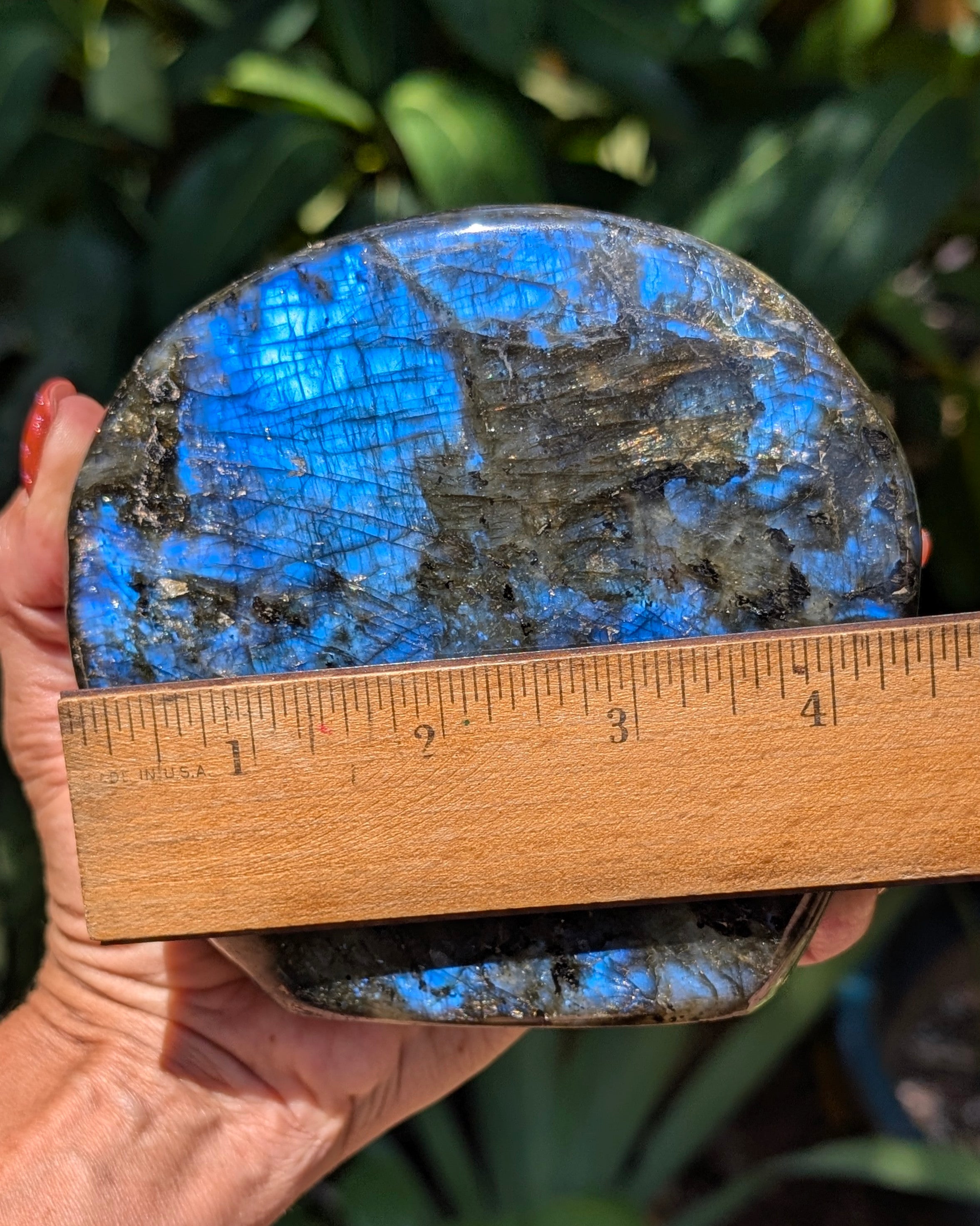 Flashy Blue Labradorite Freeform - Opt. D