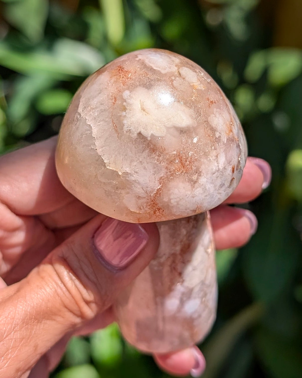 Flower Agate Mushroom G