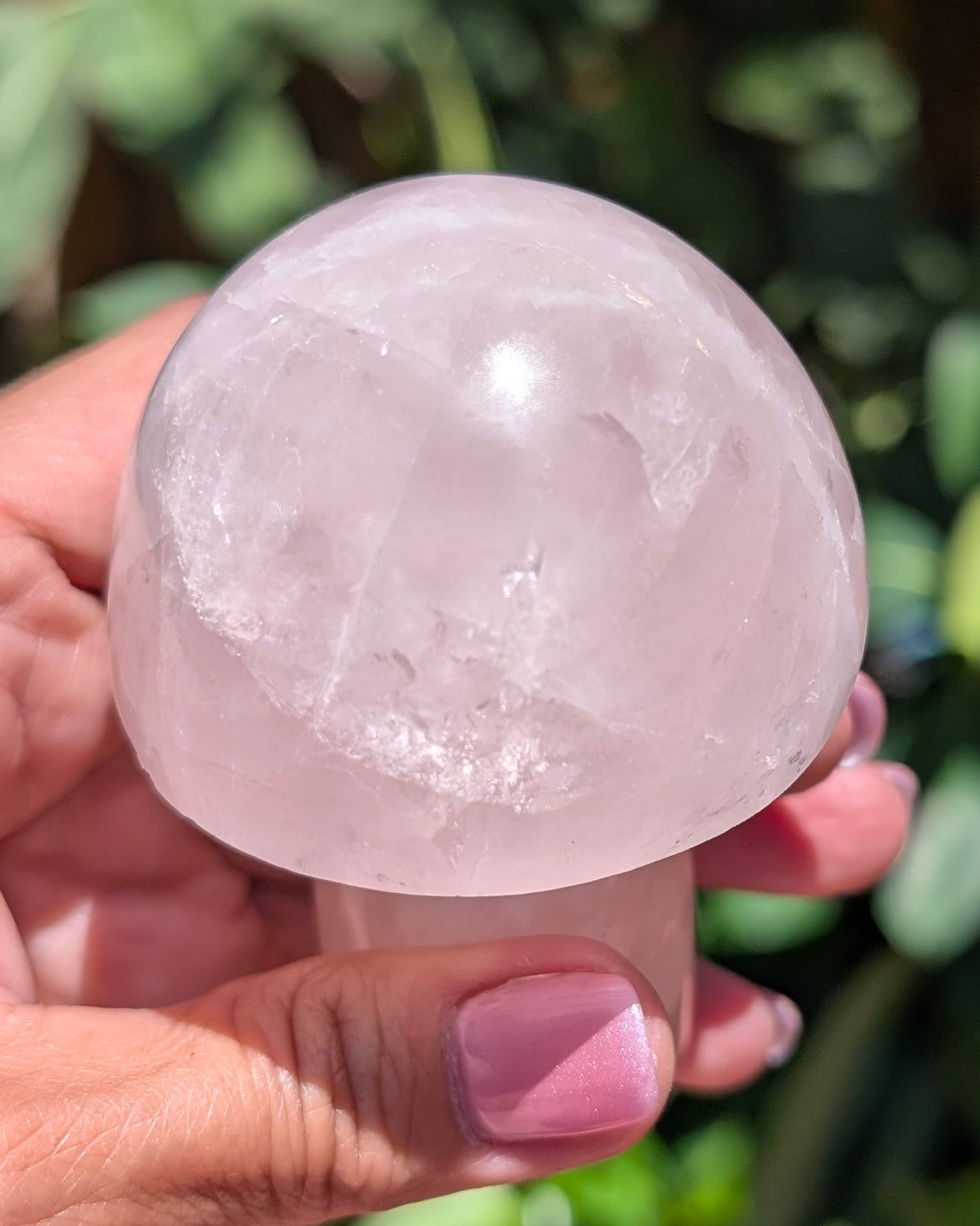 Rose Quartz Mushroom C