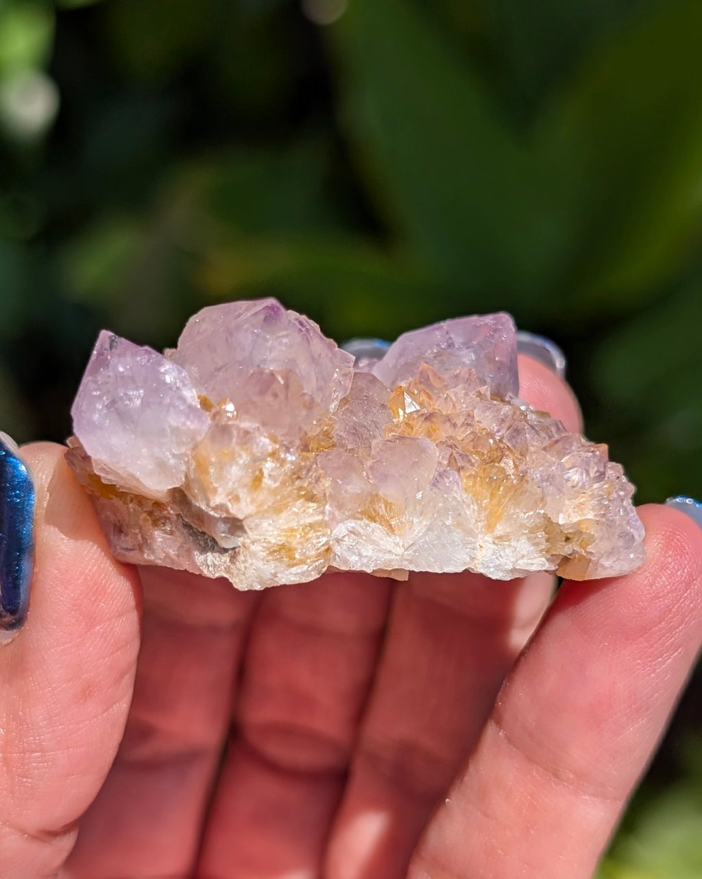Petite Spirit Quartz - Opt. A