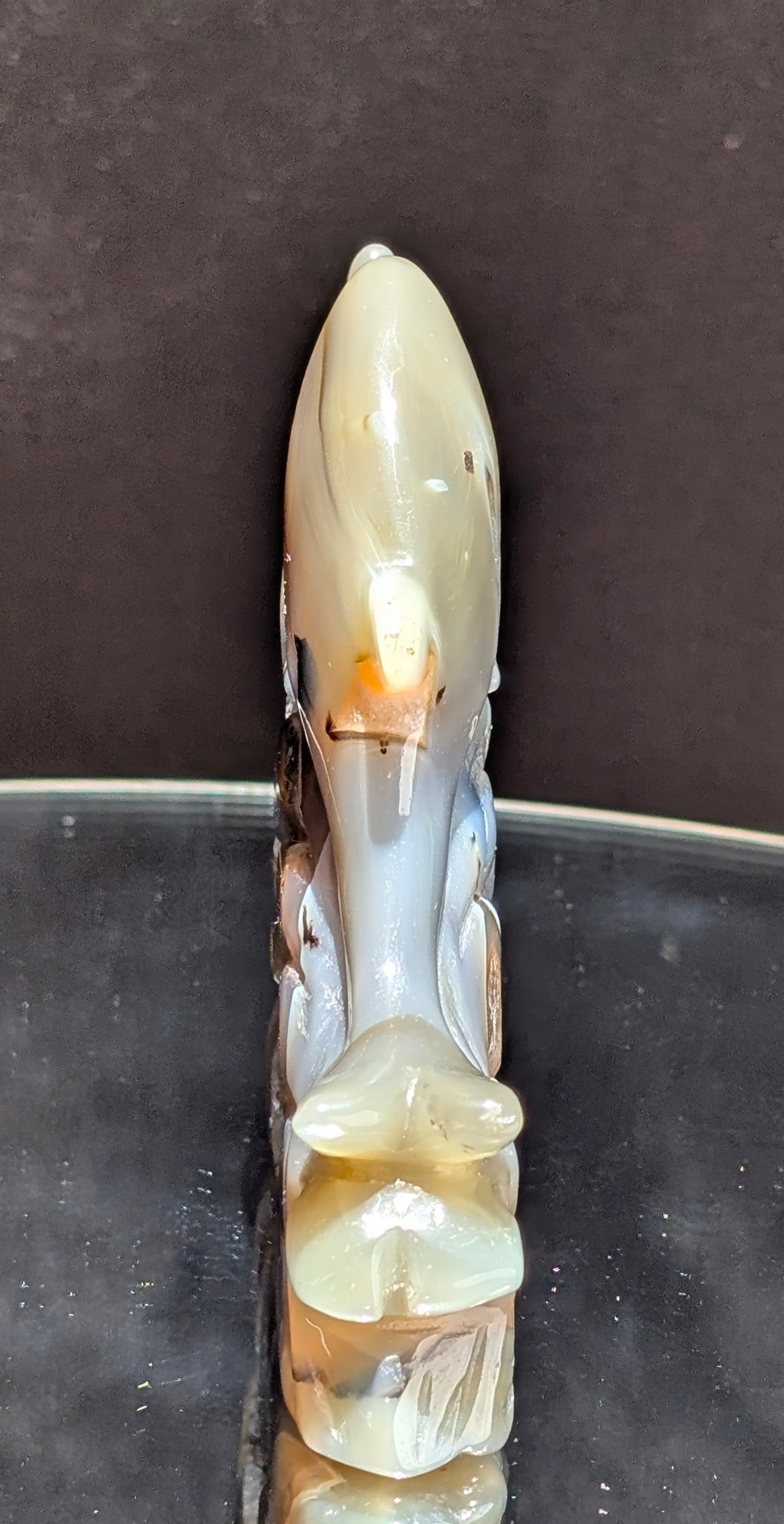 Agate Druzy Dolphin C