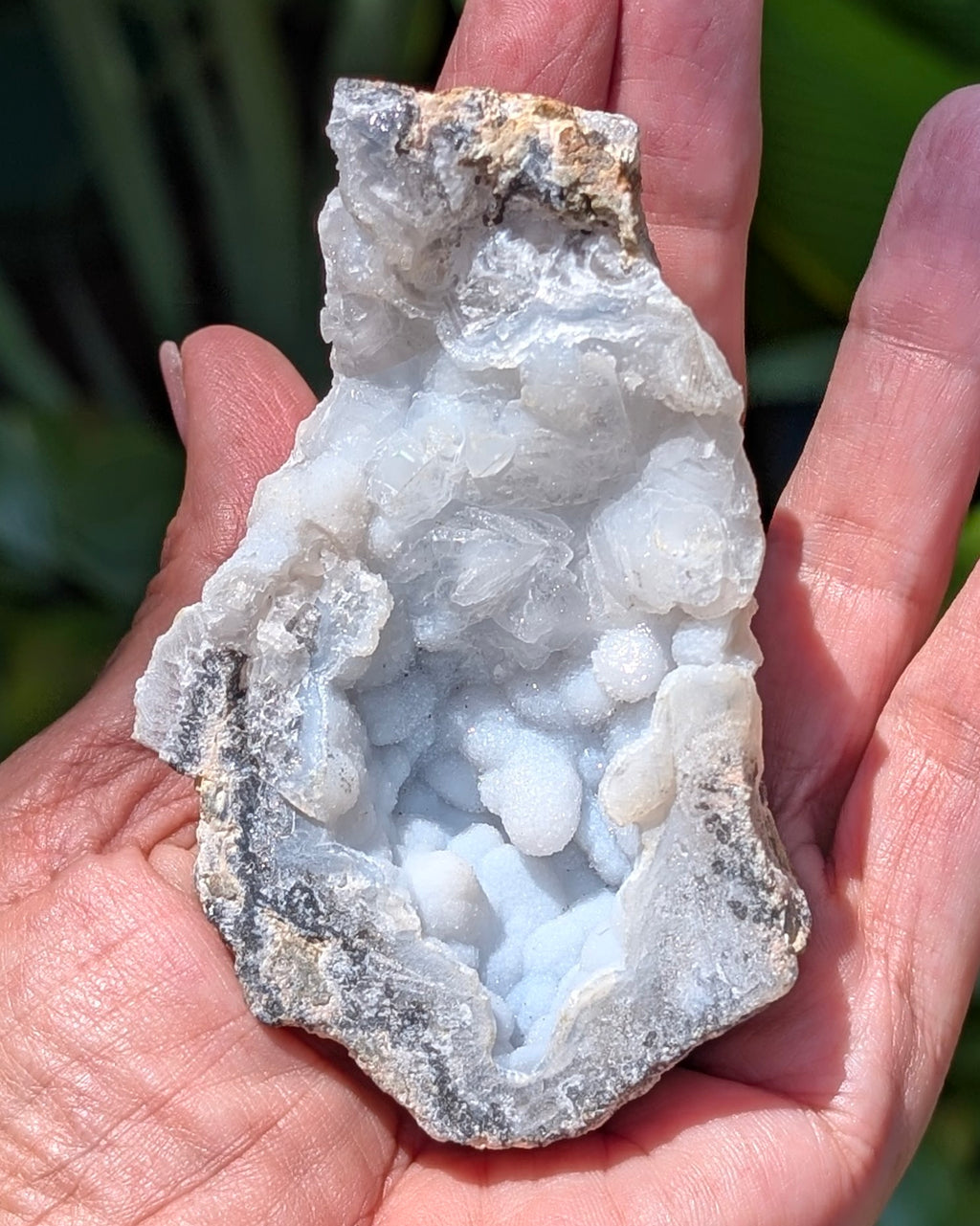 Fluorescent Trancas with Chalcedony G