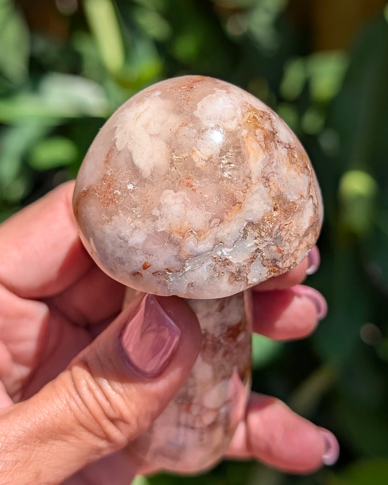 Flower Agate Mushroom G