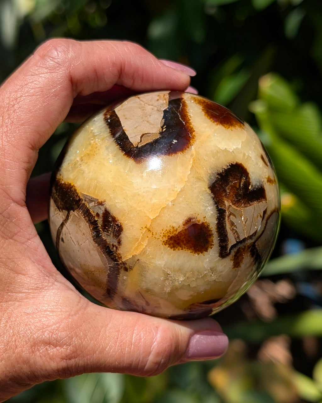 Septarian Dragon Stone Sphere A