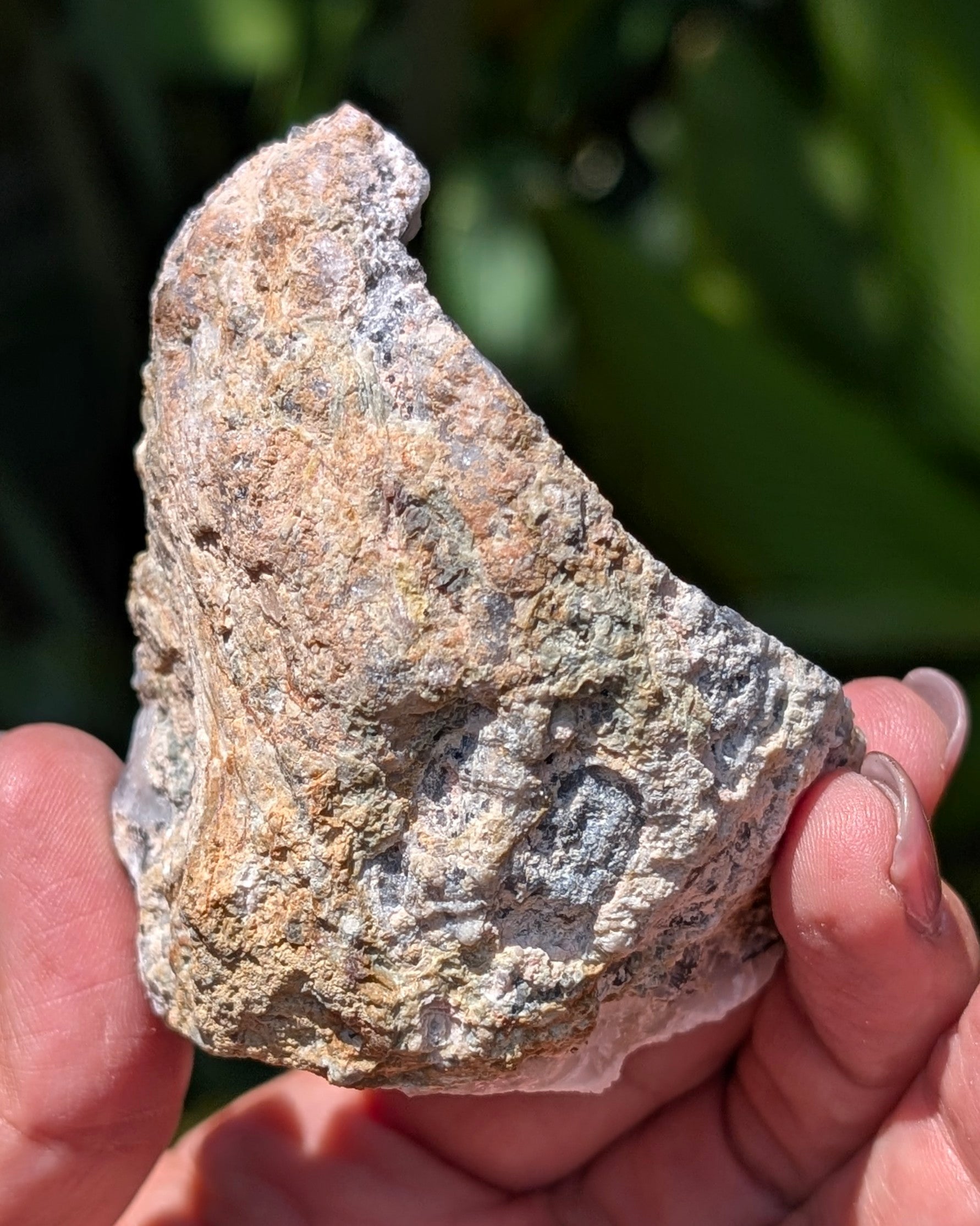 Fluorescent Trancas Geode with Quartz Crystals H