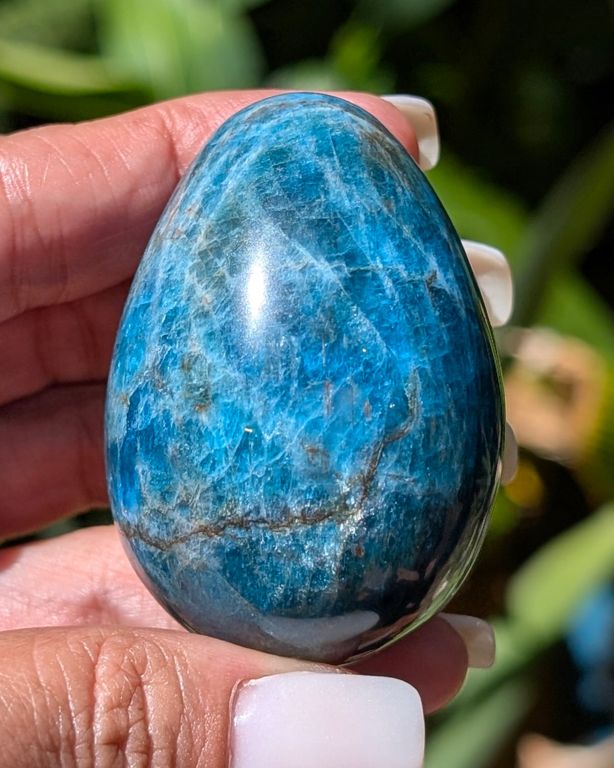 Apatite Egg - Opt. I