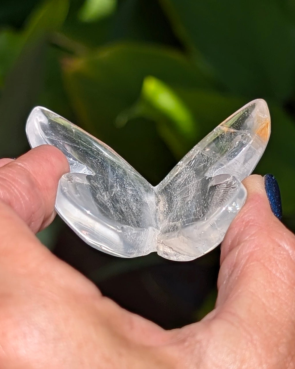 Clear Fluorite 3D Butterfly - Opt. W