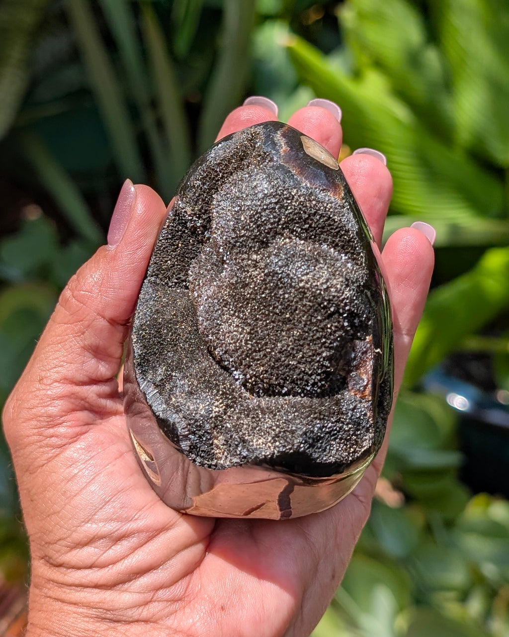 Septarian Dragon Egg D