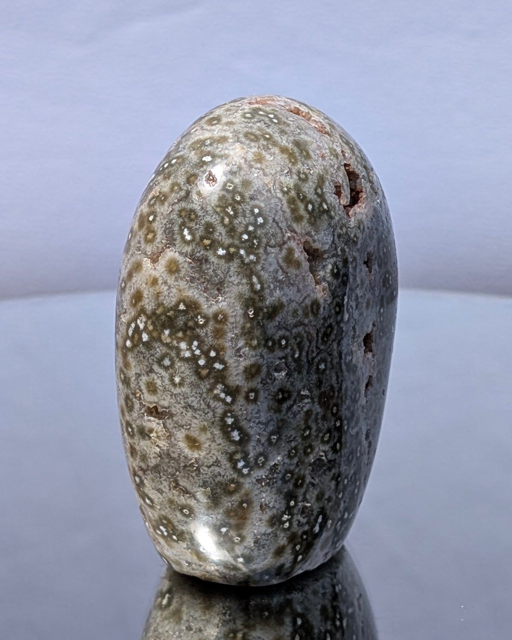 Ocean Jasper C