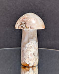 Flower Agate Mushroom F