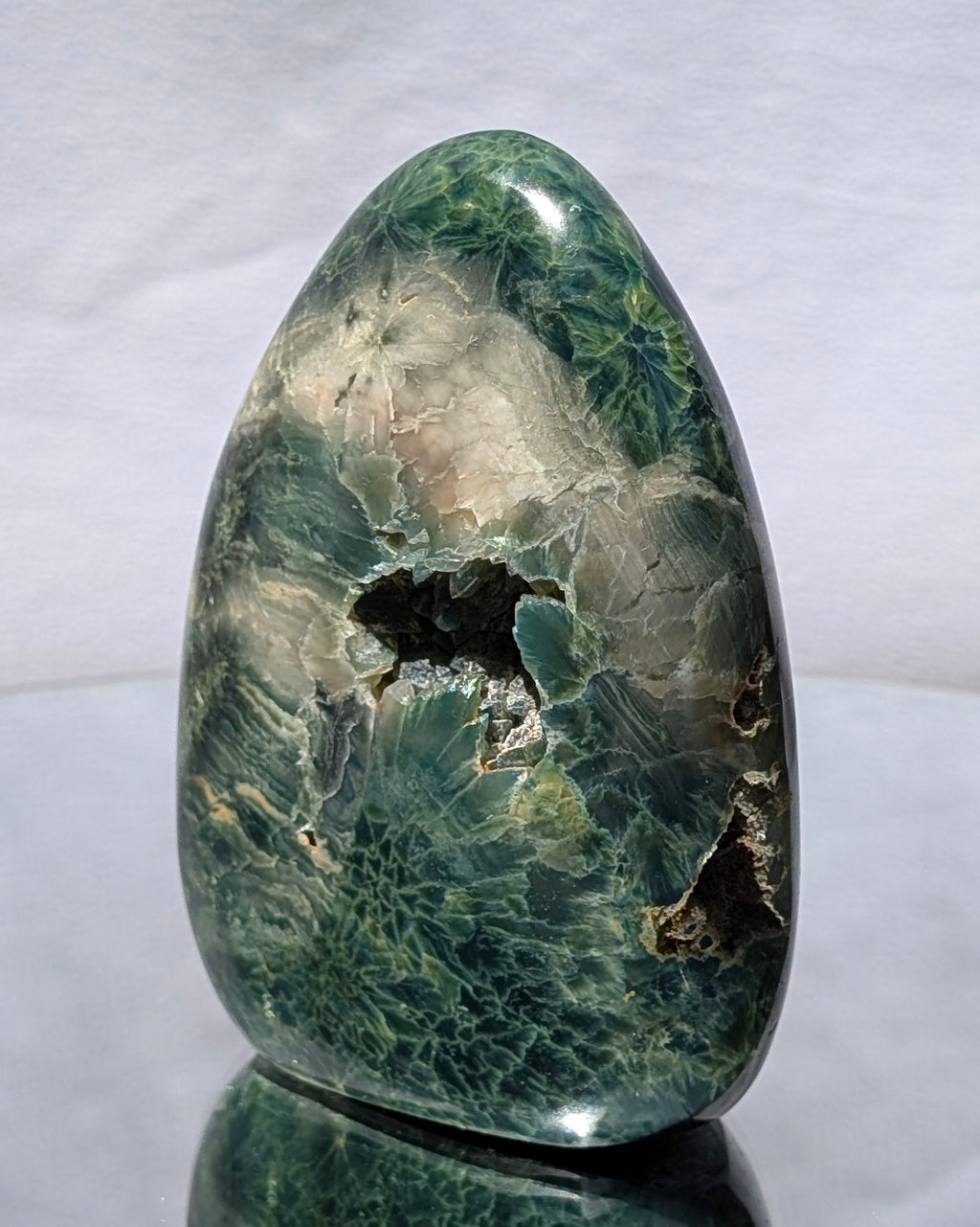 Ocean Jasper E