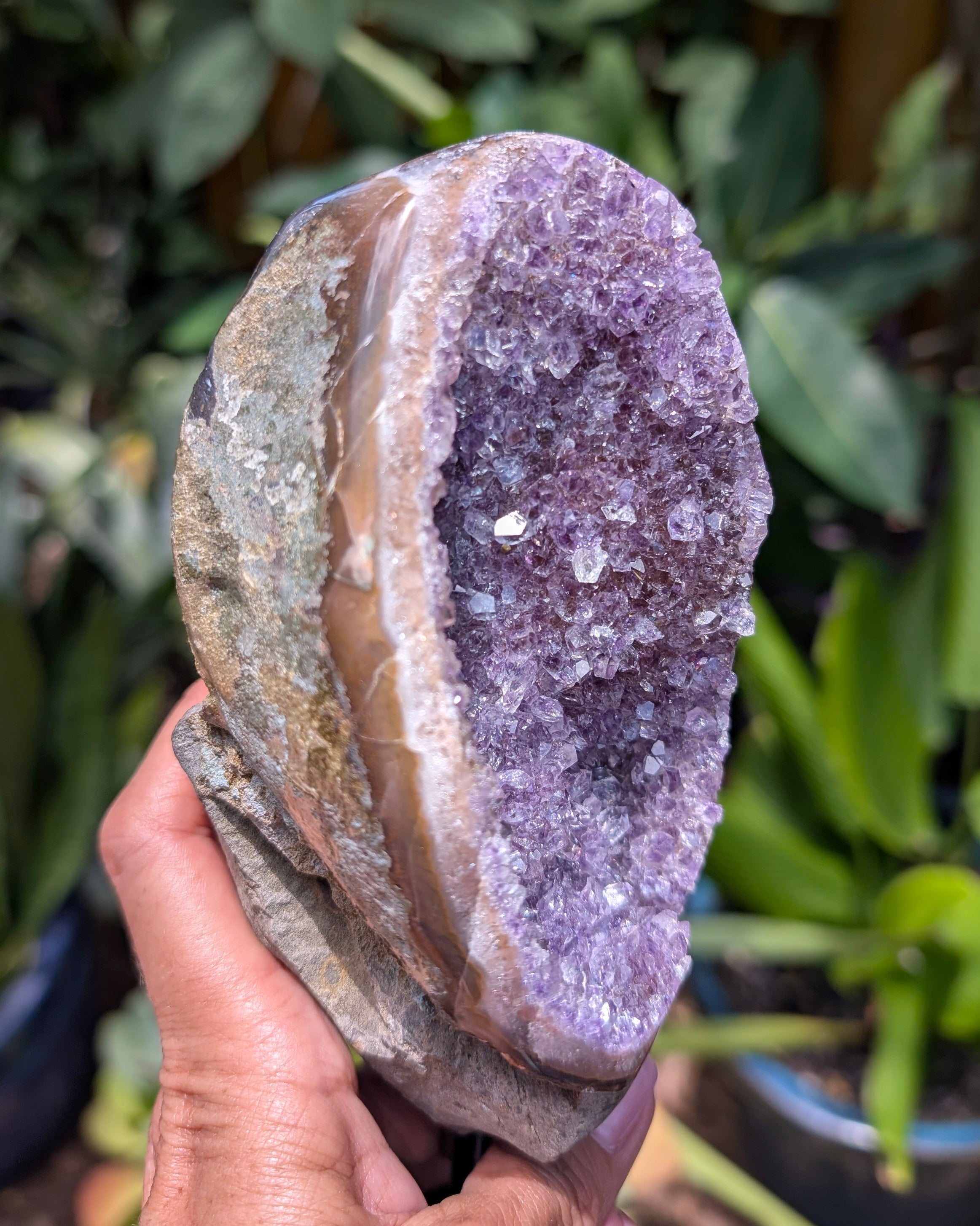 Amethyst Druzy Cluster on stand A