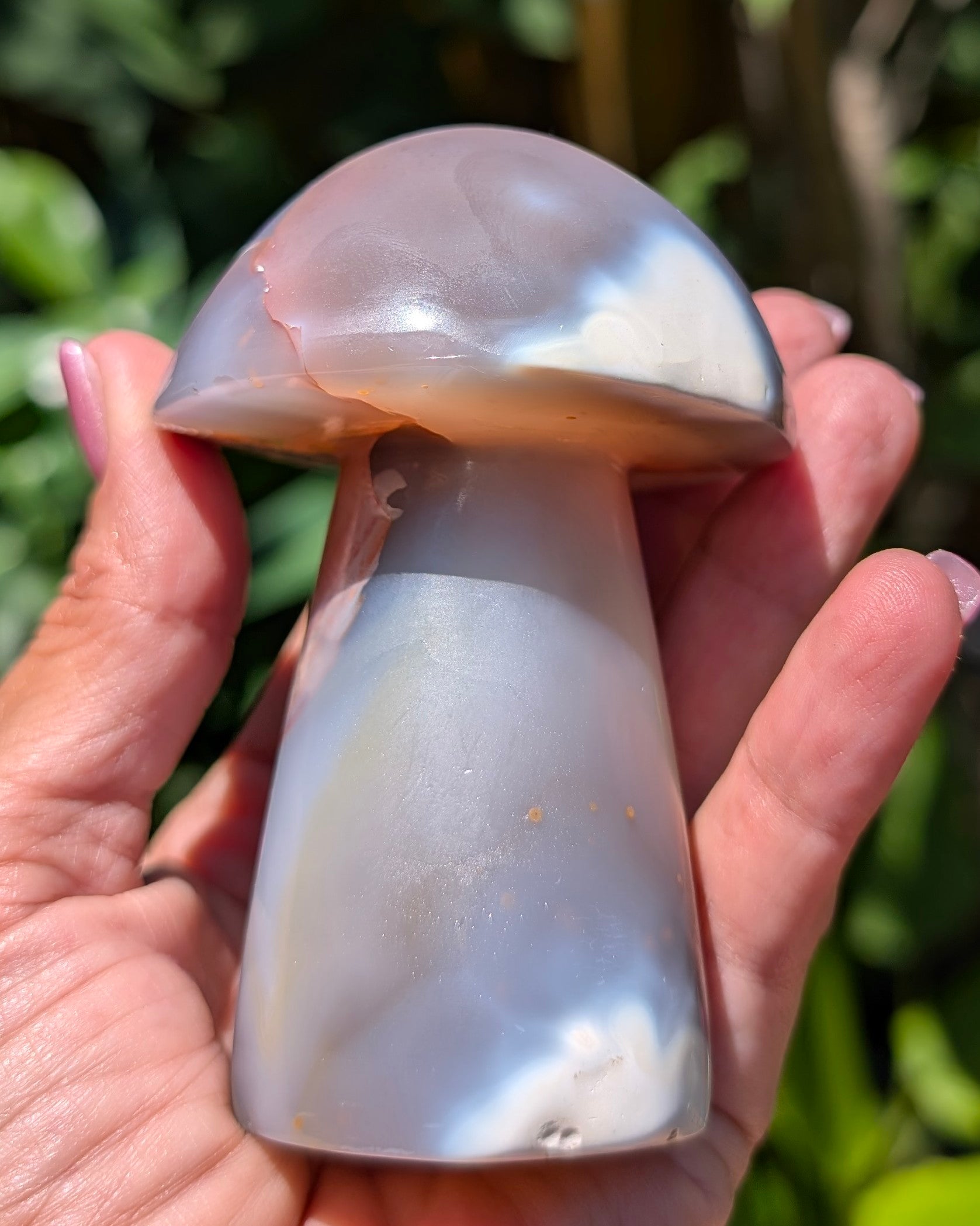 Orca Agate Mushroom I