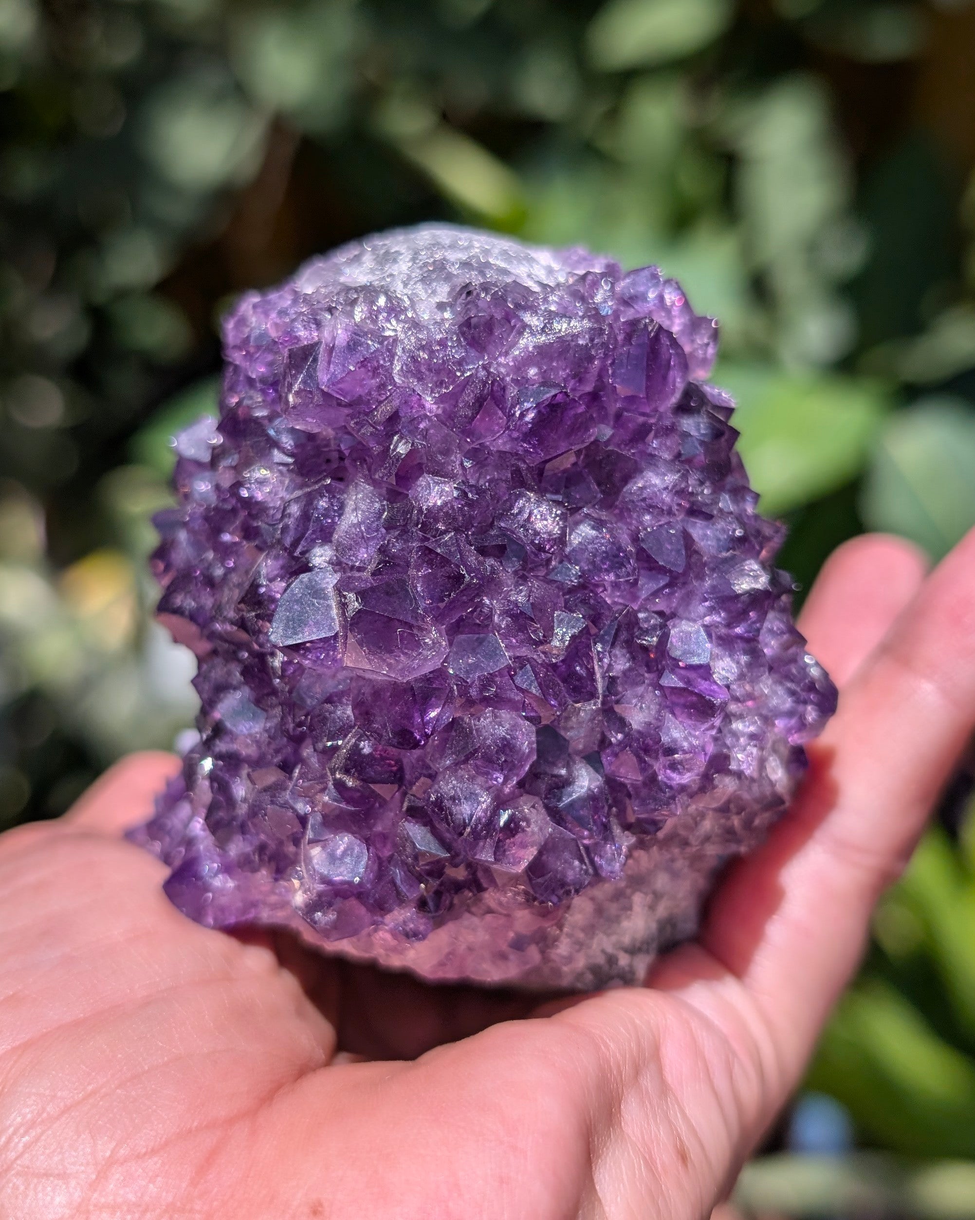 Amethyst Druzy Cluster F